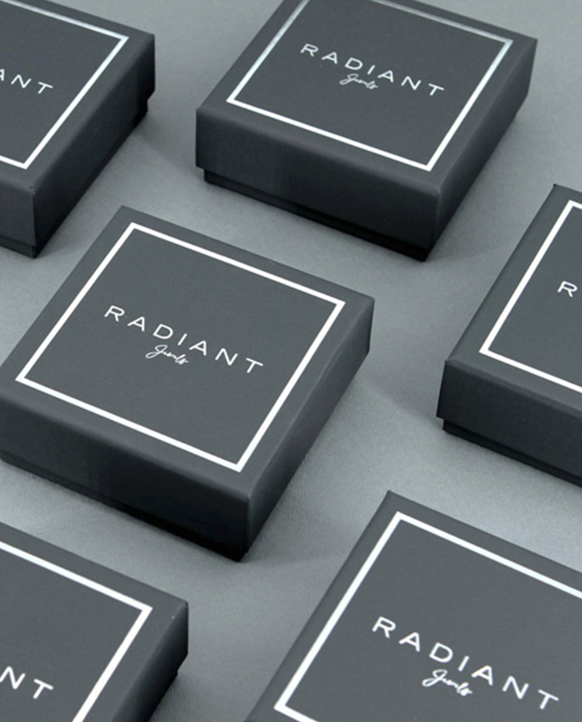 Brincos Hunter de Aço Prateado Prata-4