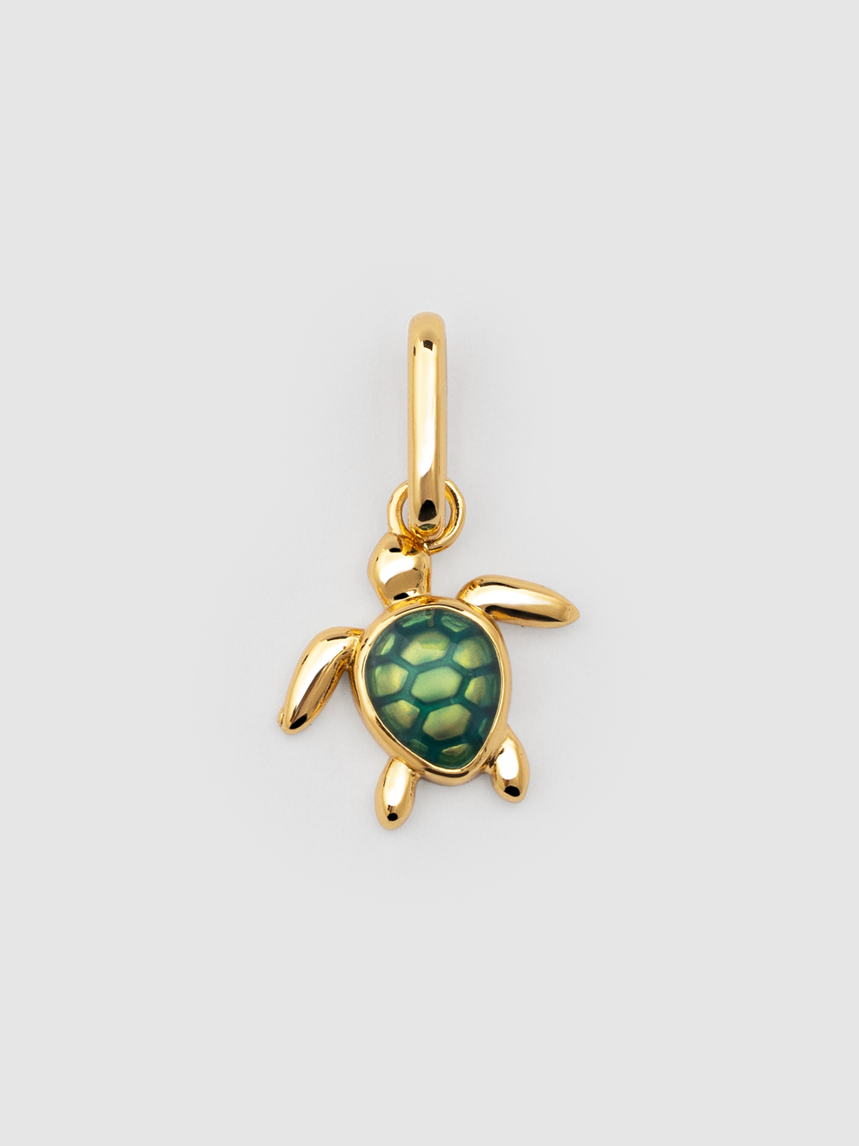 Imagem 0 de Charm Tartaruga de Liga de Metais Banhado a Ouro