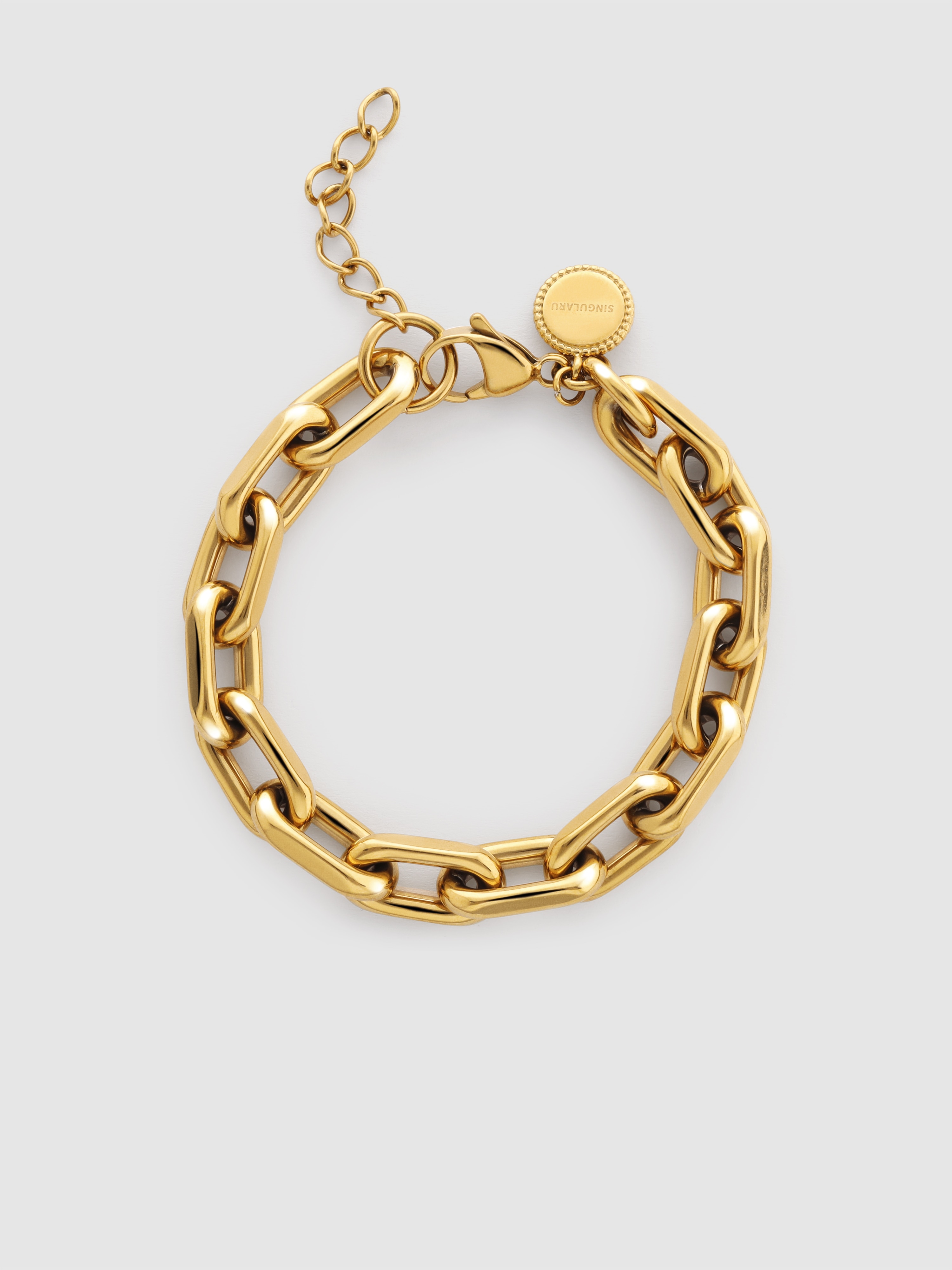 Pulseira de Elos Big Link de Aço Banhado a Ouro Dourado-1