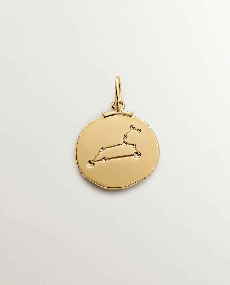 Charm Leo de Prata 925 Banhada em Ouro Amarelo de 18k Ouro-3