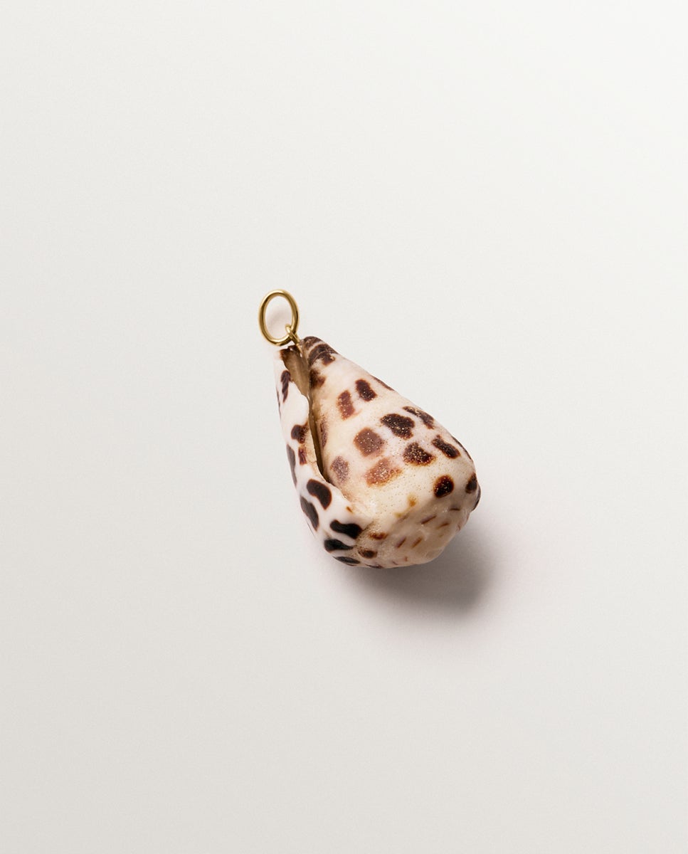 Charm de Prata 925 Banhada em Ouro Amarelo de 18k com Concha Castanha Castanho-3