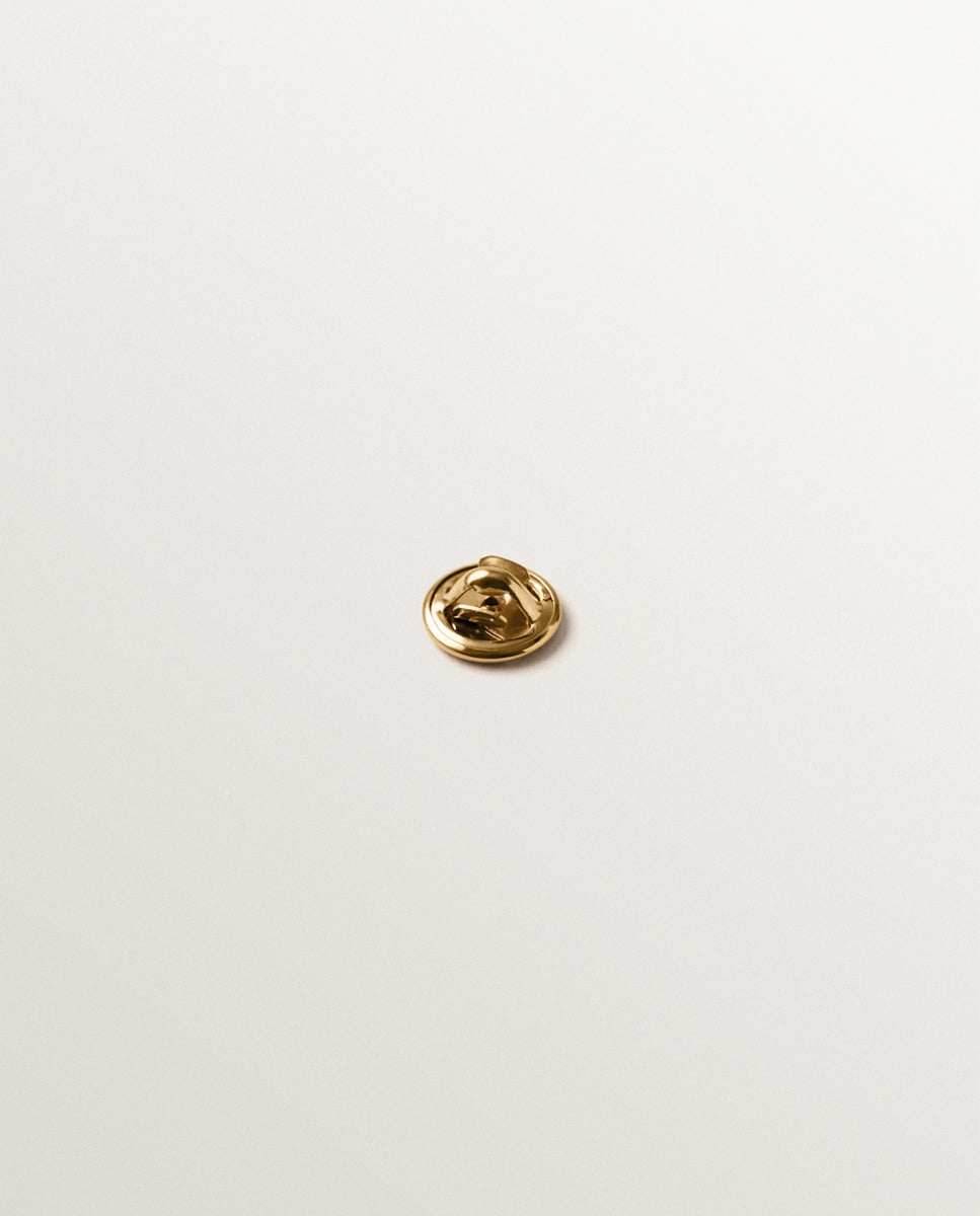 Pin Banhado a Ouro Amarelo com Cristal e Forma de Escaravelho Transparente-3