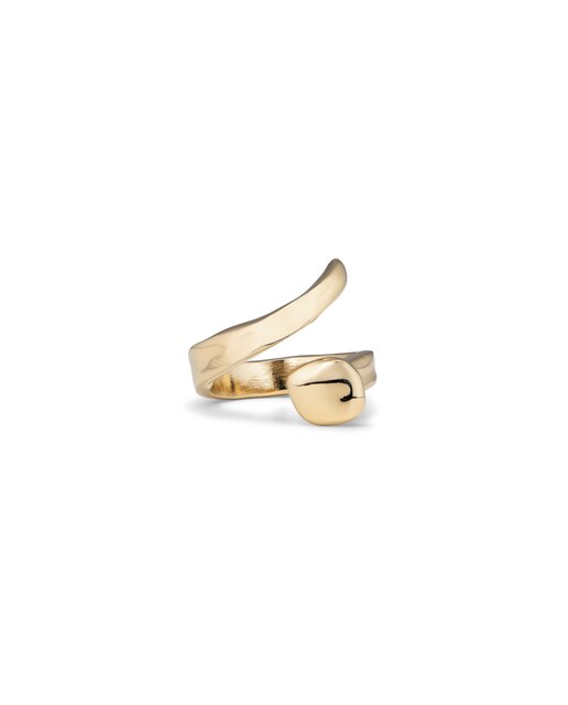 Imagem 0 de Anel Clavo Banhado a Ouro 18k