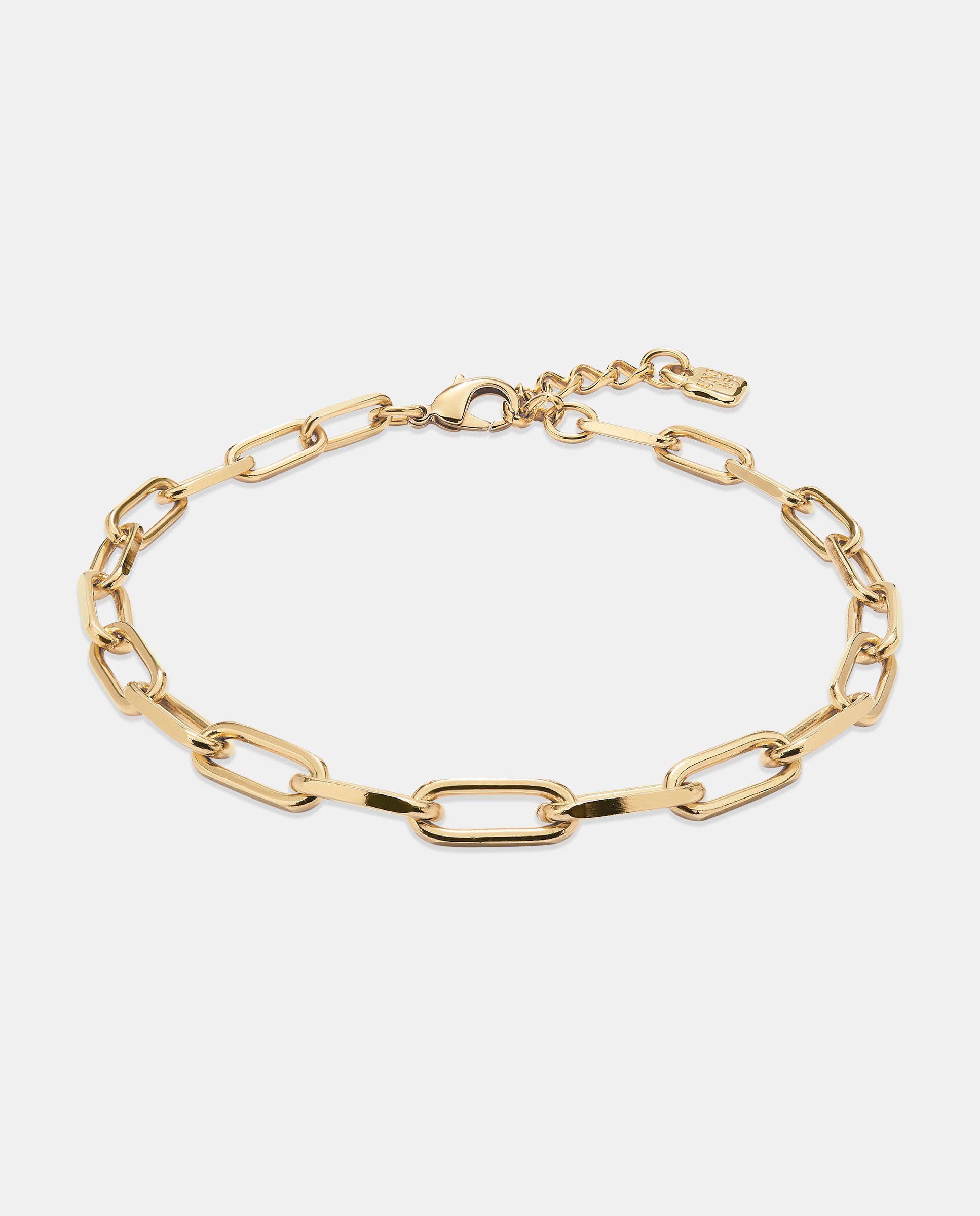 Corrente Banhada a Ouro 18k com Elos Ouro-3