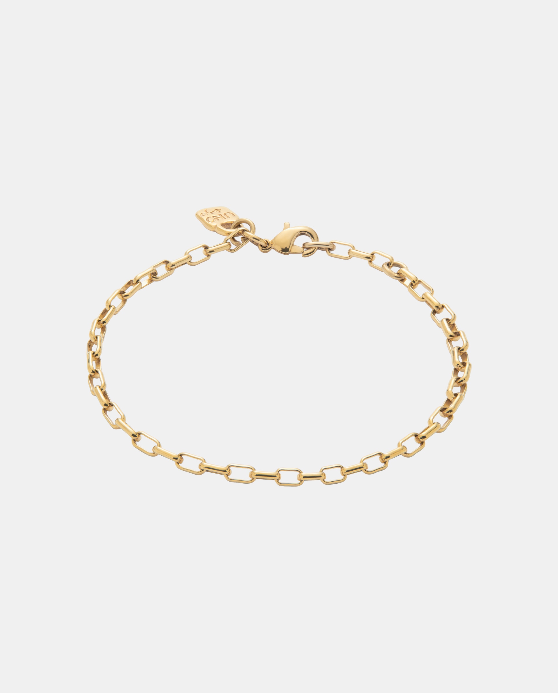 Pulseira com Elos Banhada a Ouro 18k Ouro-1