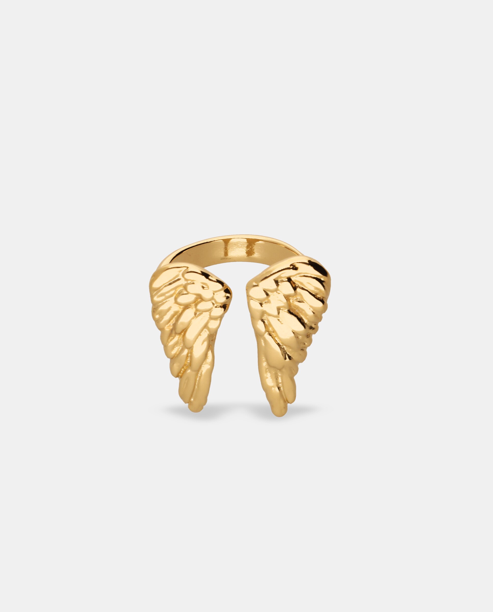 Anel Banhado a Ouro 18k em Forma de Asas Ouro-1