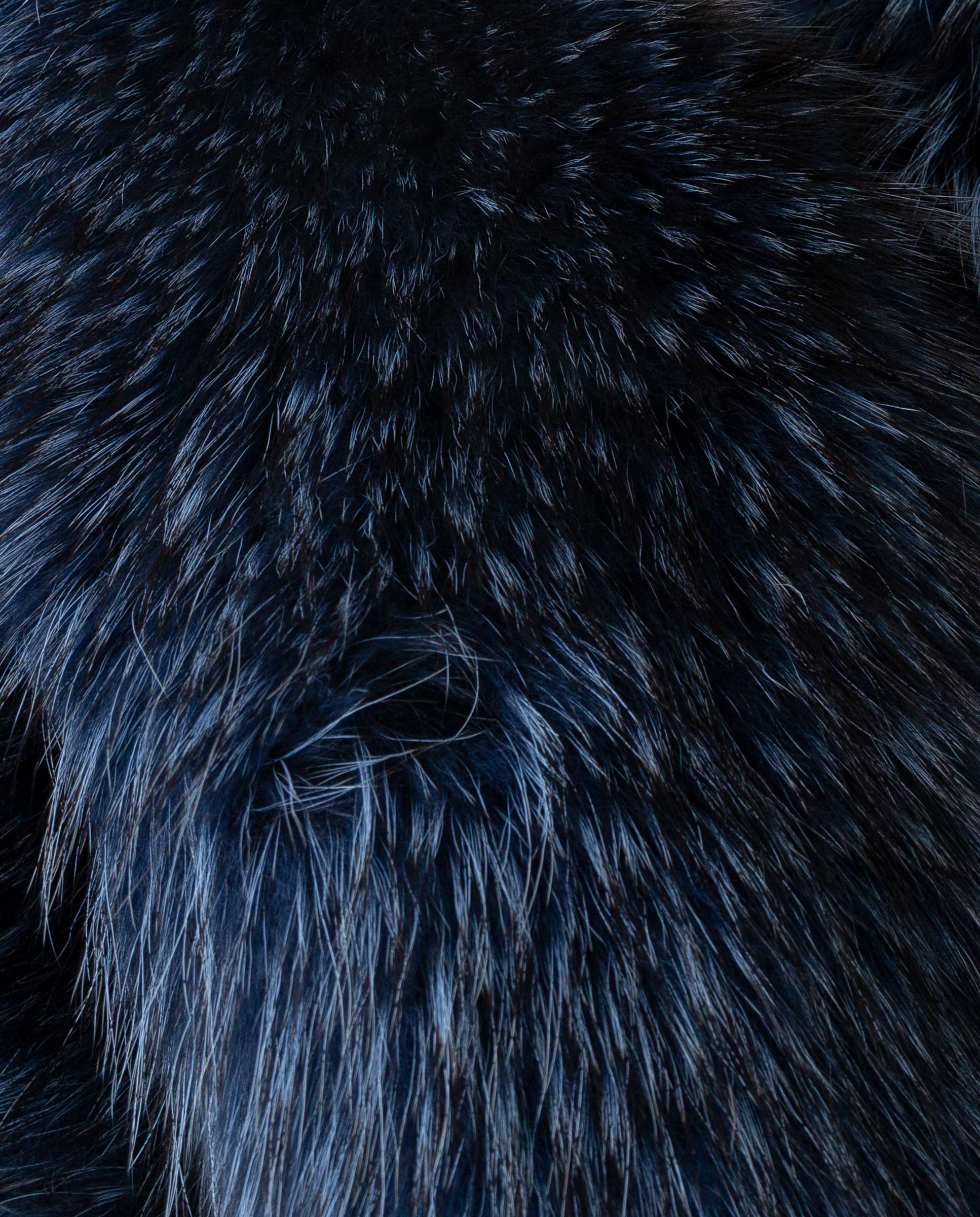 Estola em Pelo de Raposa em Azul-escuro Azul-escuro-2
