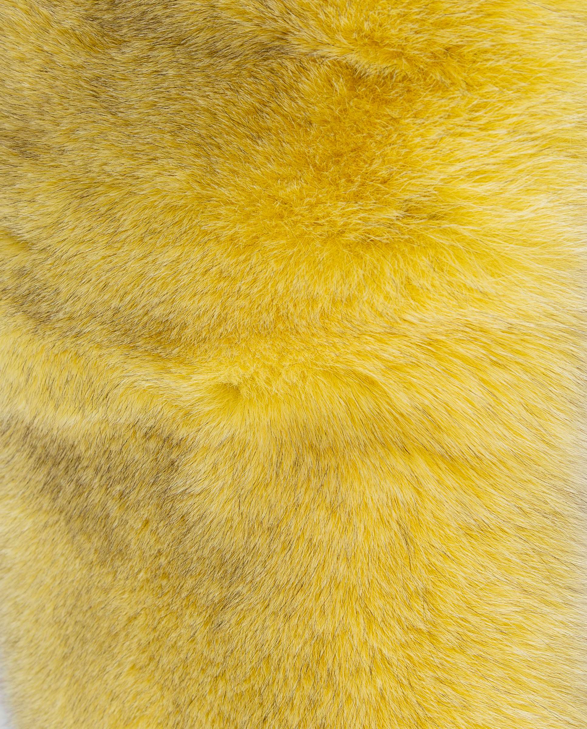 Estola em Pelo de Raposa em Amarelo Amarelo-2