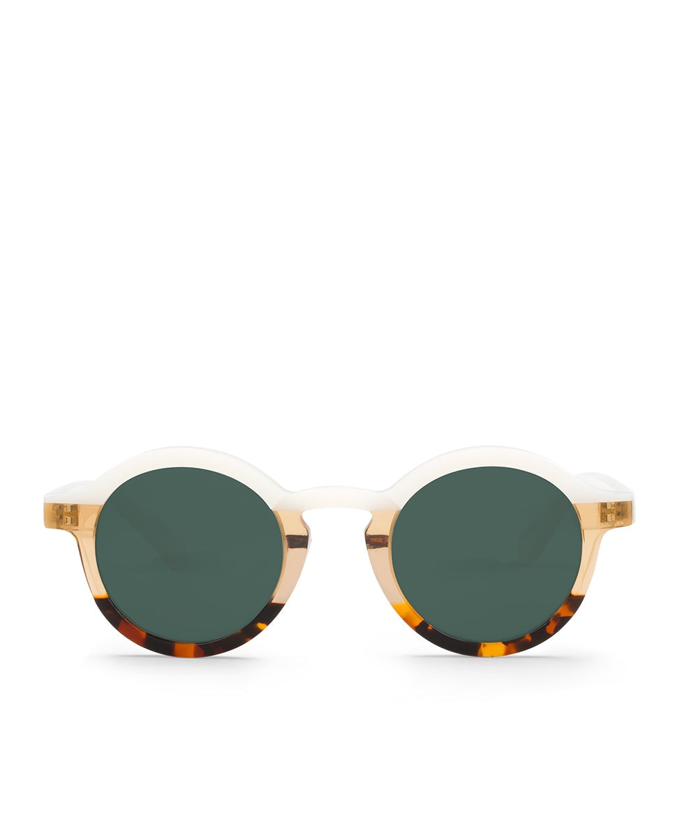 Óculos de Sol com Armação de Acetato Multicolor Multicolor-2