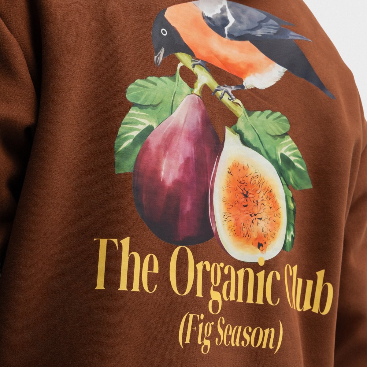 Sweatshirt com Capuz Hoodart Siroko Castanho-5