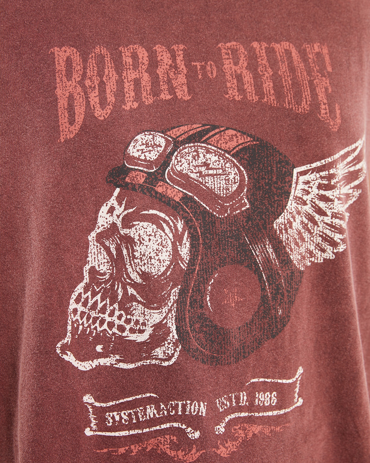 T-shirt com Tintura Efeito Desgastado e Estampado Castanho-5