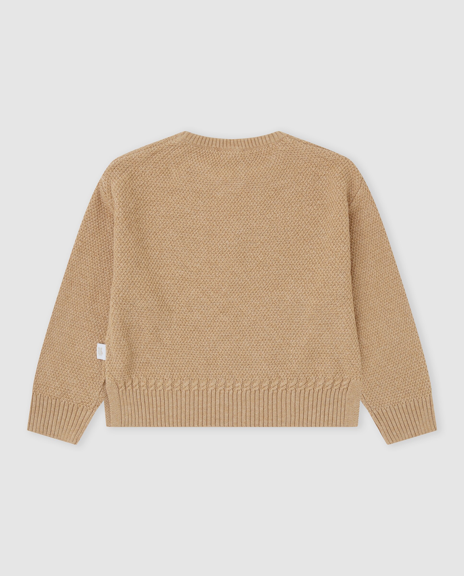 Camisola Infantil de Tricô com Cão Bordado Areia-2