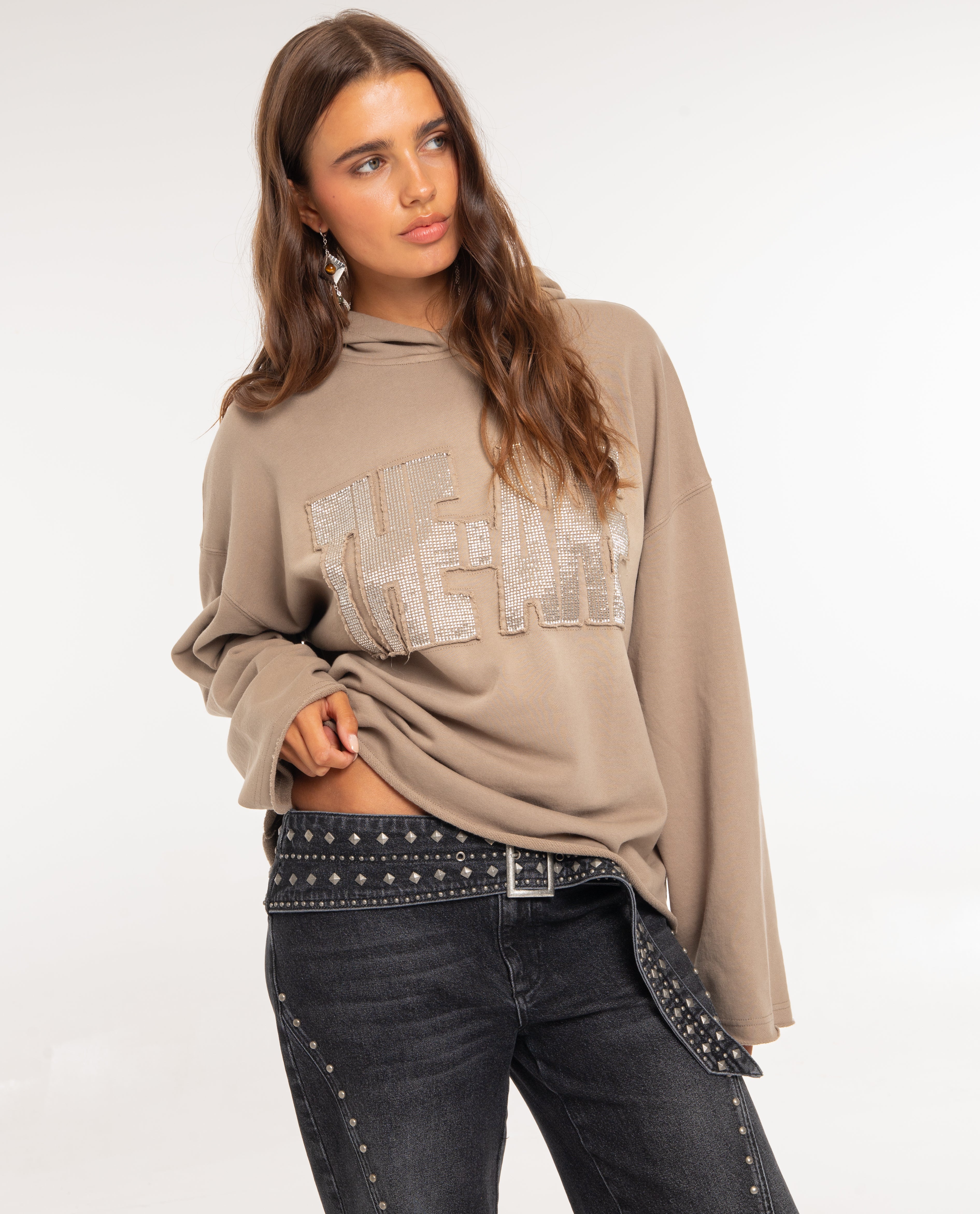 Imagem 0 de Sweatshirt com Capuz e Logotipo Bordado em Pedras
