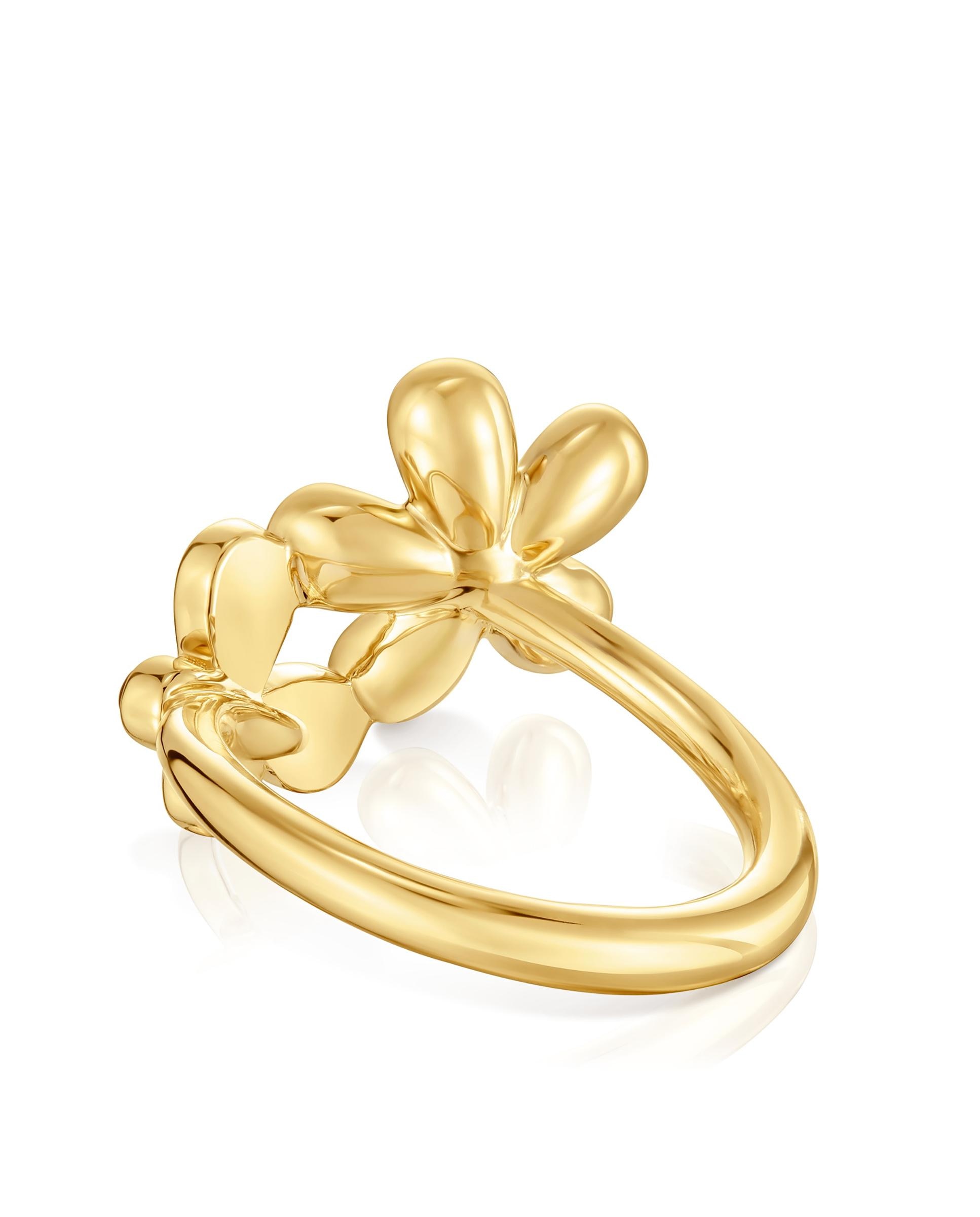 Anel Daisy Banhado a Ouro de 18 Kt Sobre Prata e Ametista Roxo-3