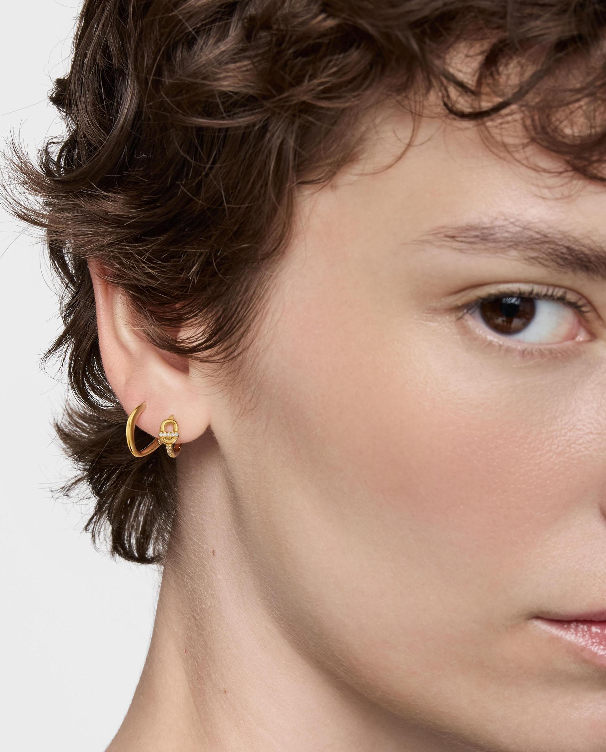 Brincos de Aro Manifesto com Ouro 14 Kt e Diamantes Branco-5