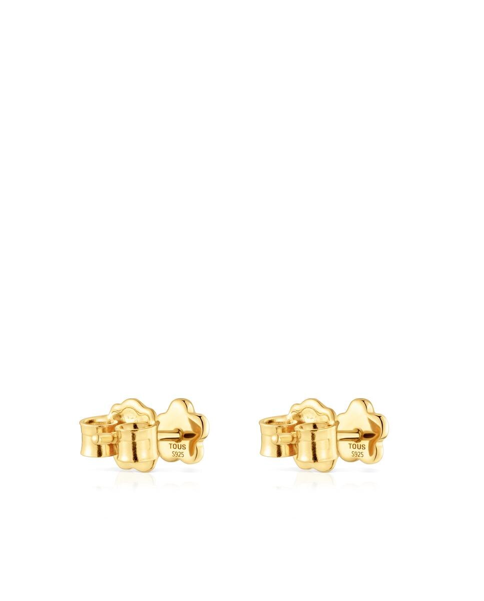 Brincos Motivos Flor Banhados em Ouro 18 Kt Sobre Prata Dourado-3
