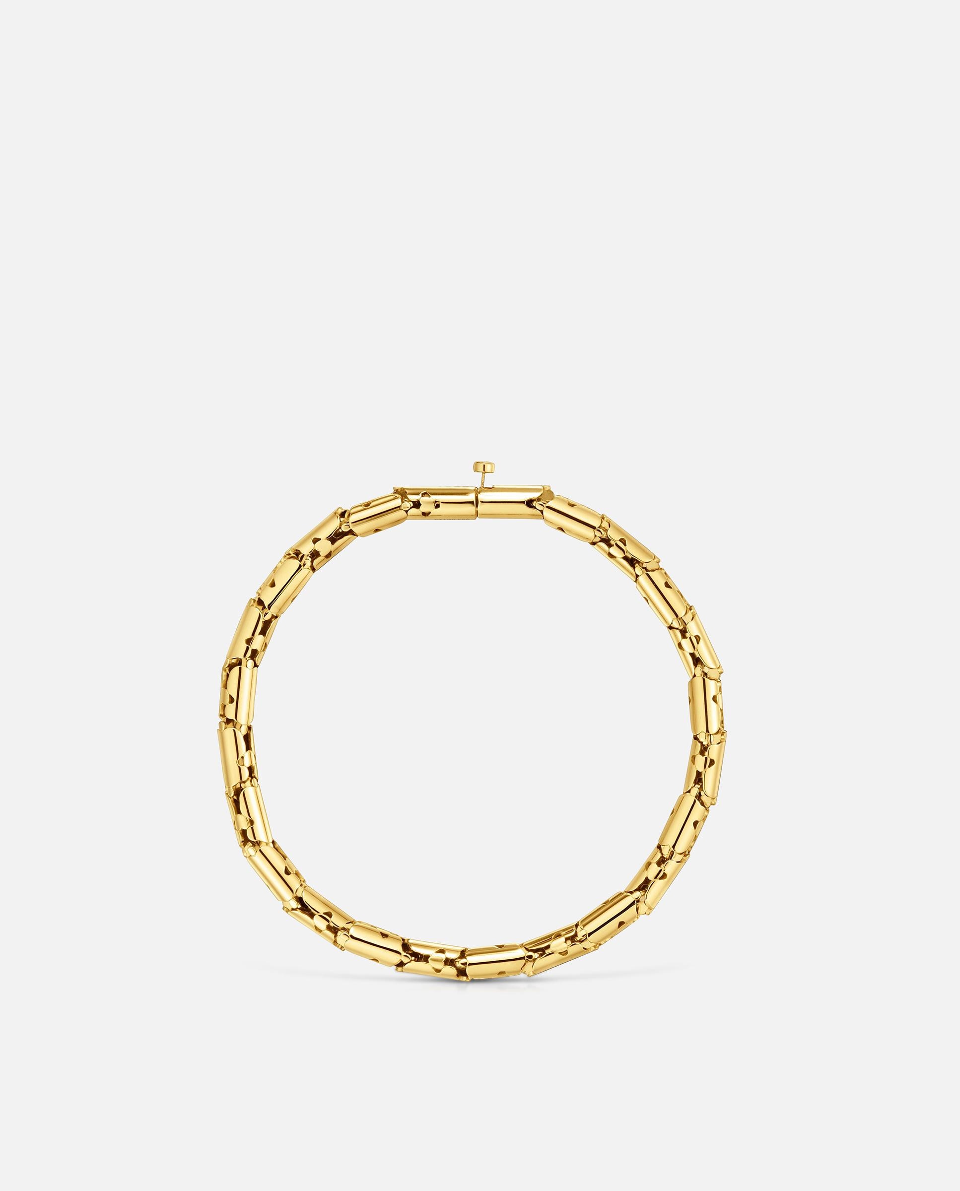Pulseira de Corrente de Aço Articulado Dourado Carrusel Dourado-2