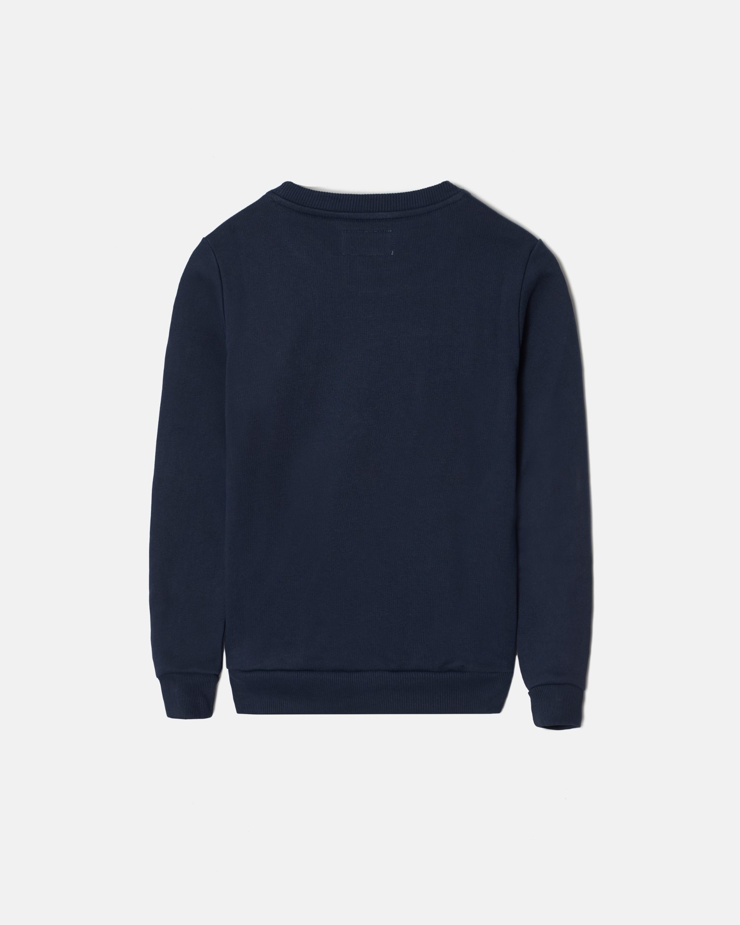 Sweatshirt Infantil Azul-marinho com Desenho Frontal Azul-marinho-5
