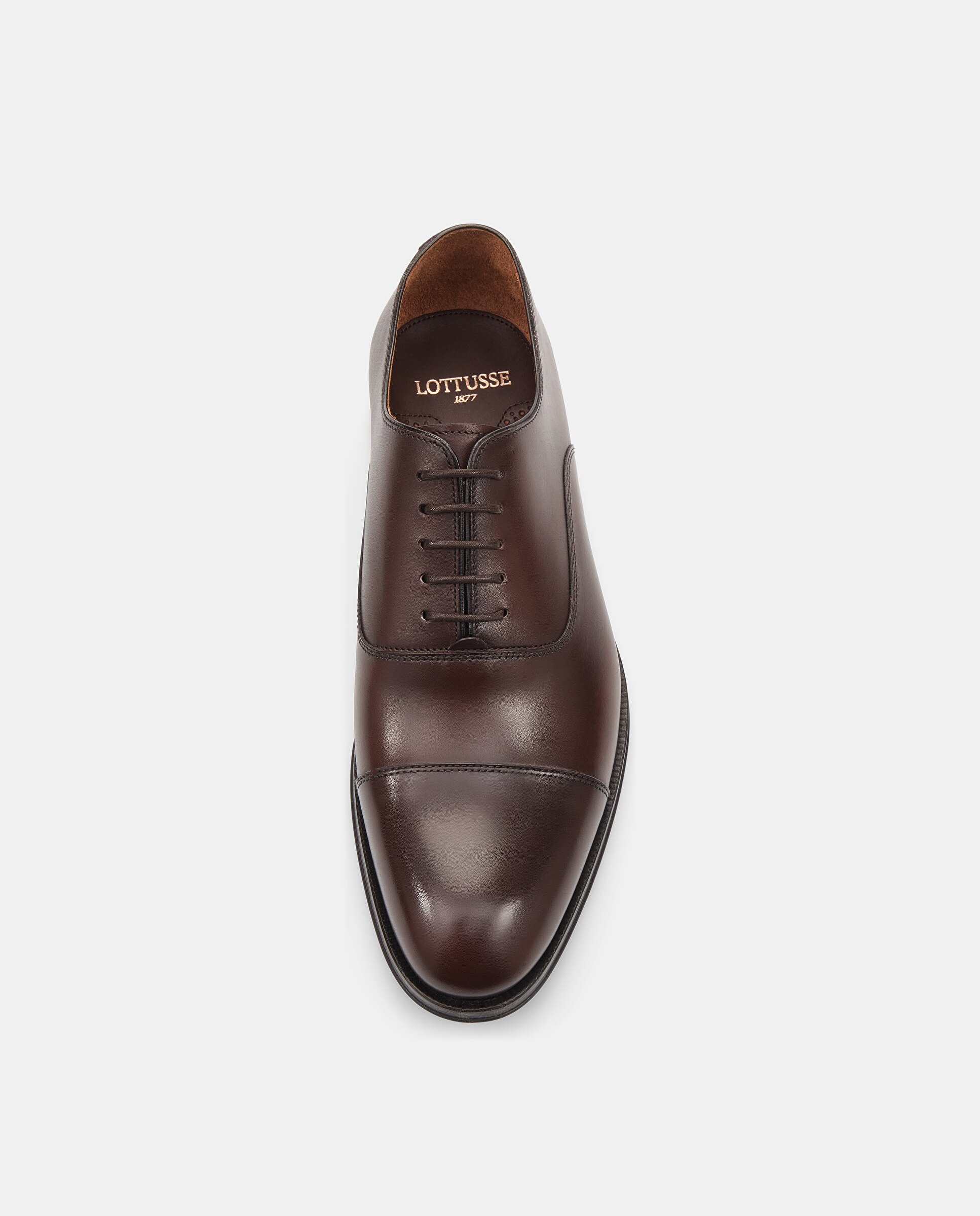 Sapatos Oxford Lenox de Pele Bovino Moca-6