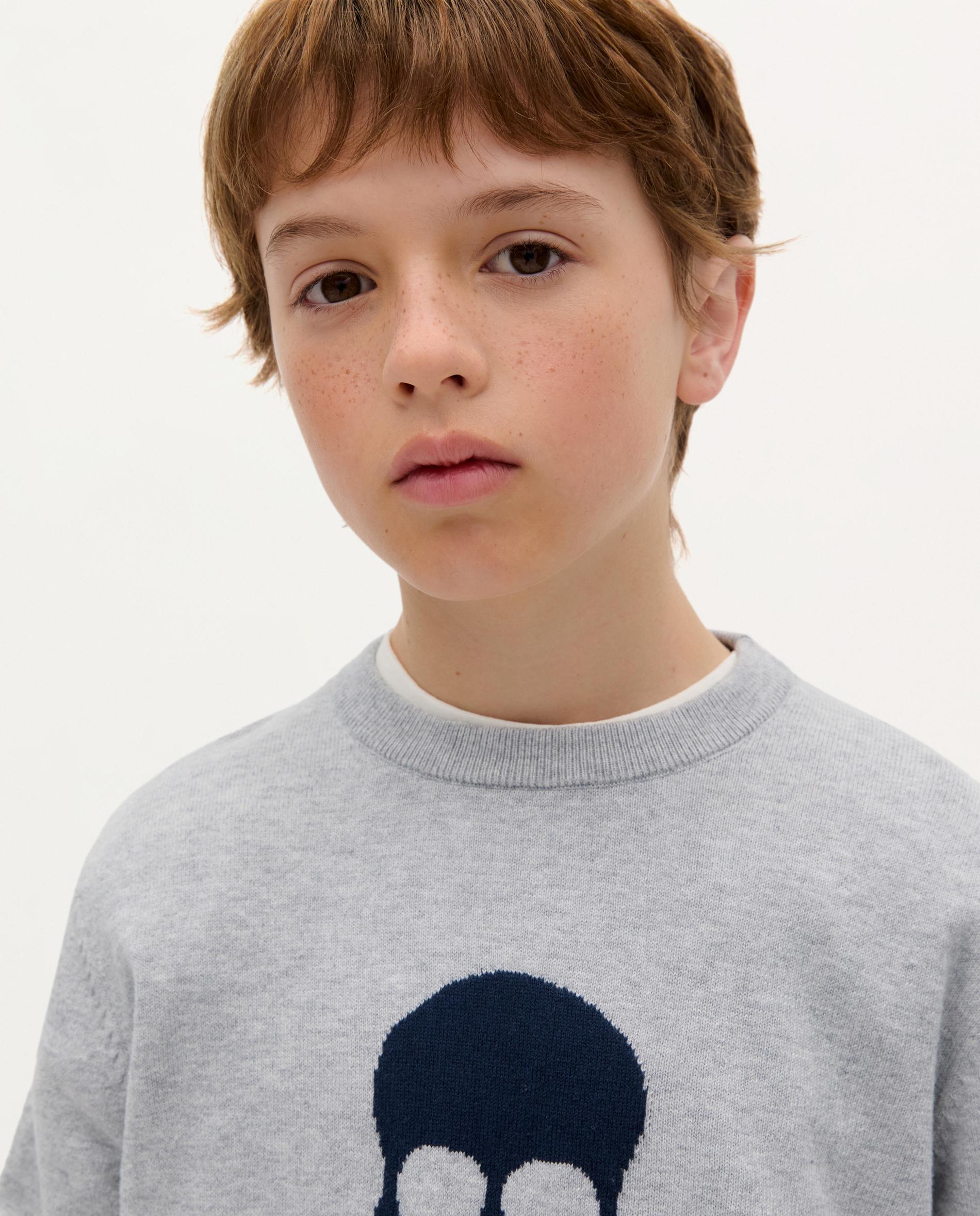Camisola Infantil Regular Fit de Algodão Cinzento-3