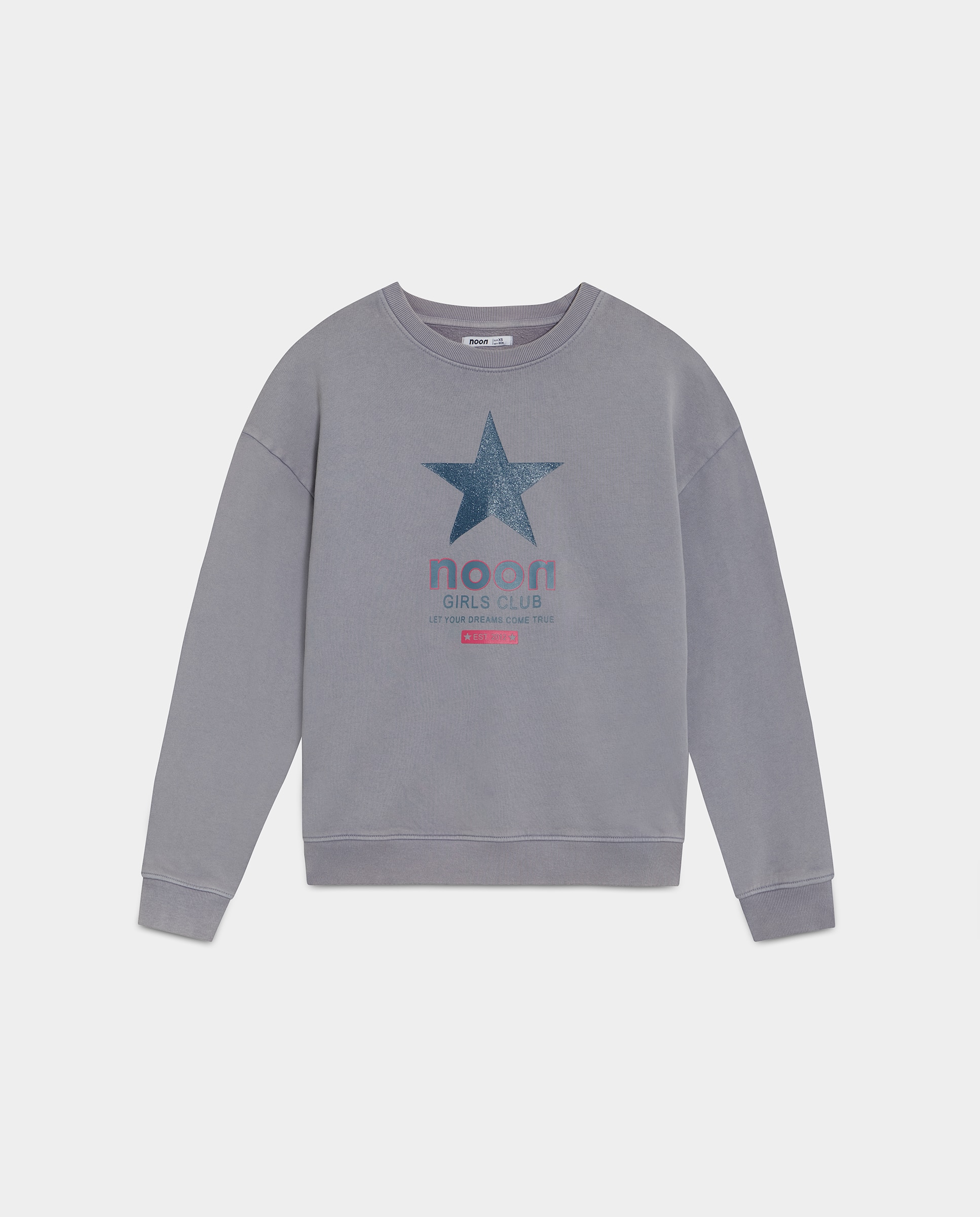 Sweatshirt com Logo e Estrela Cinzento-claro-5