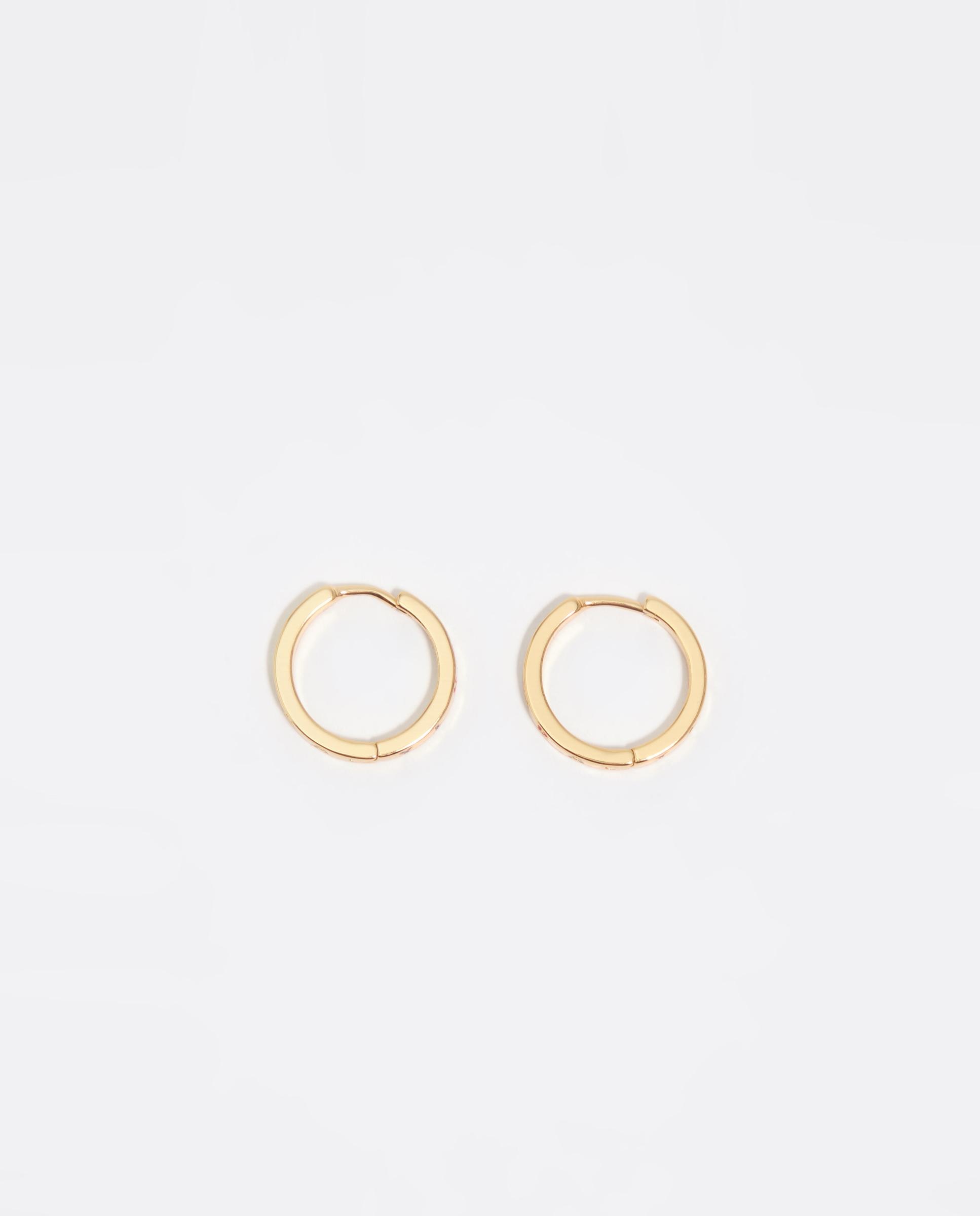 Brincos de Aro Dourado com Logo Multicolor Dourado-1