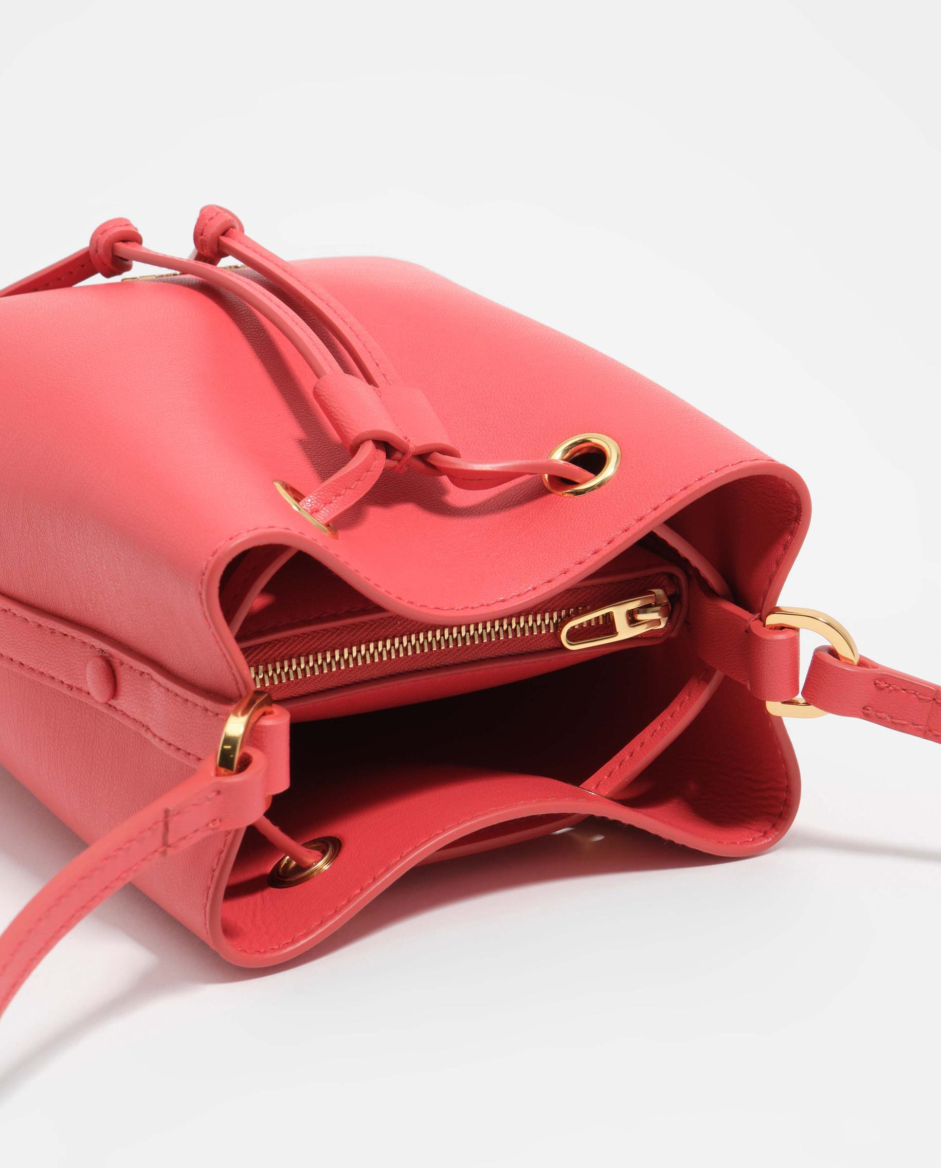 Mala Chihuahua Bucket Mini Coral-3