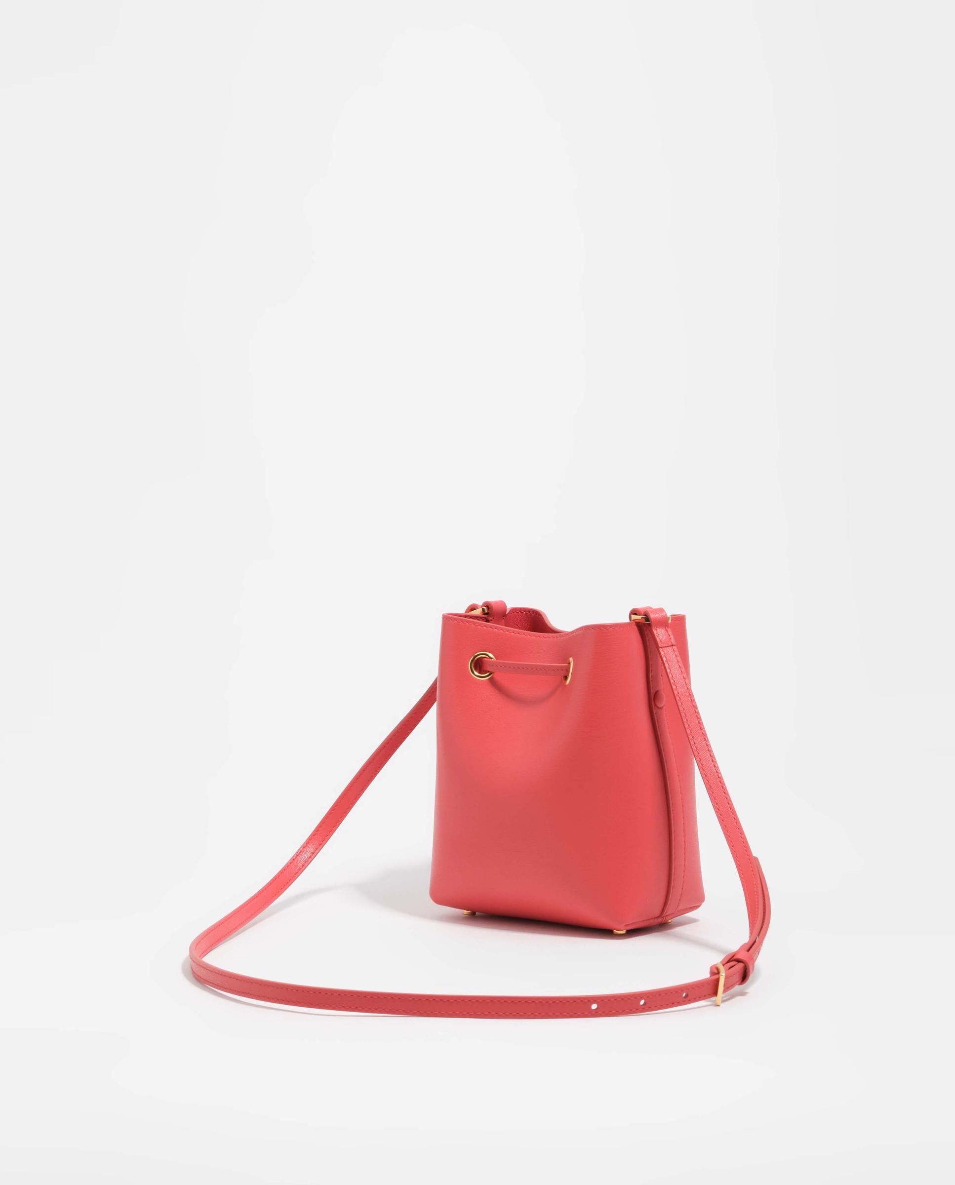 Mala Chihuahua Bucket Mini Coral-6