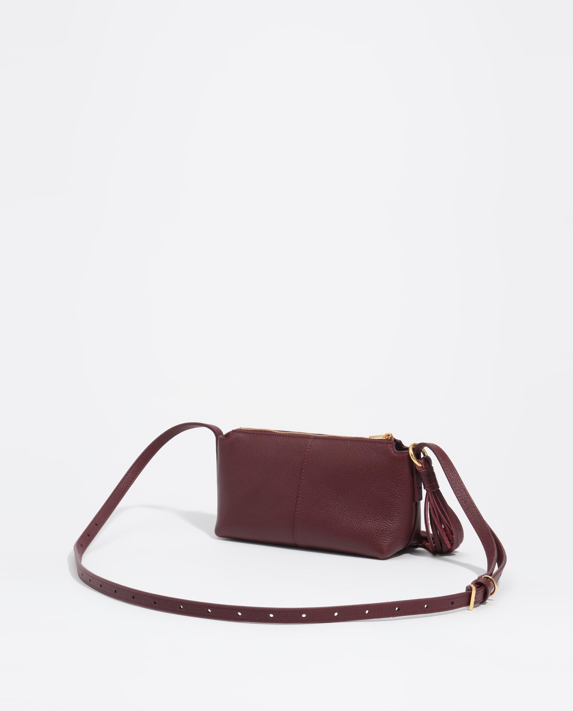 Mala a Tiracolo Mini Pele Bordeaux-4