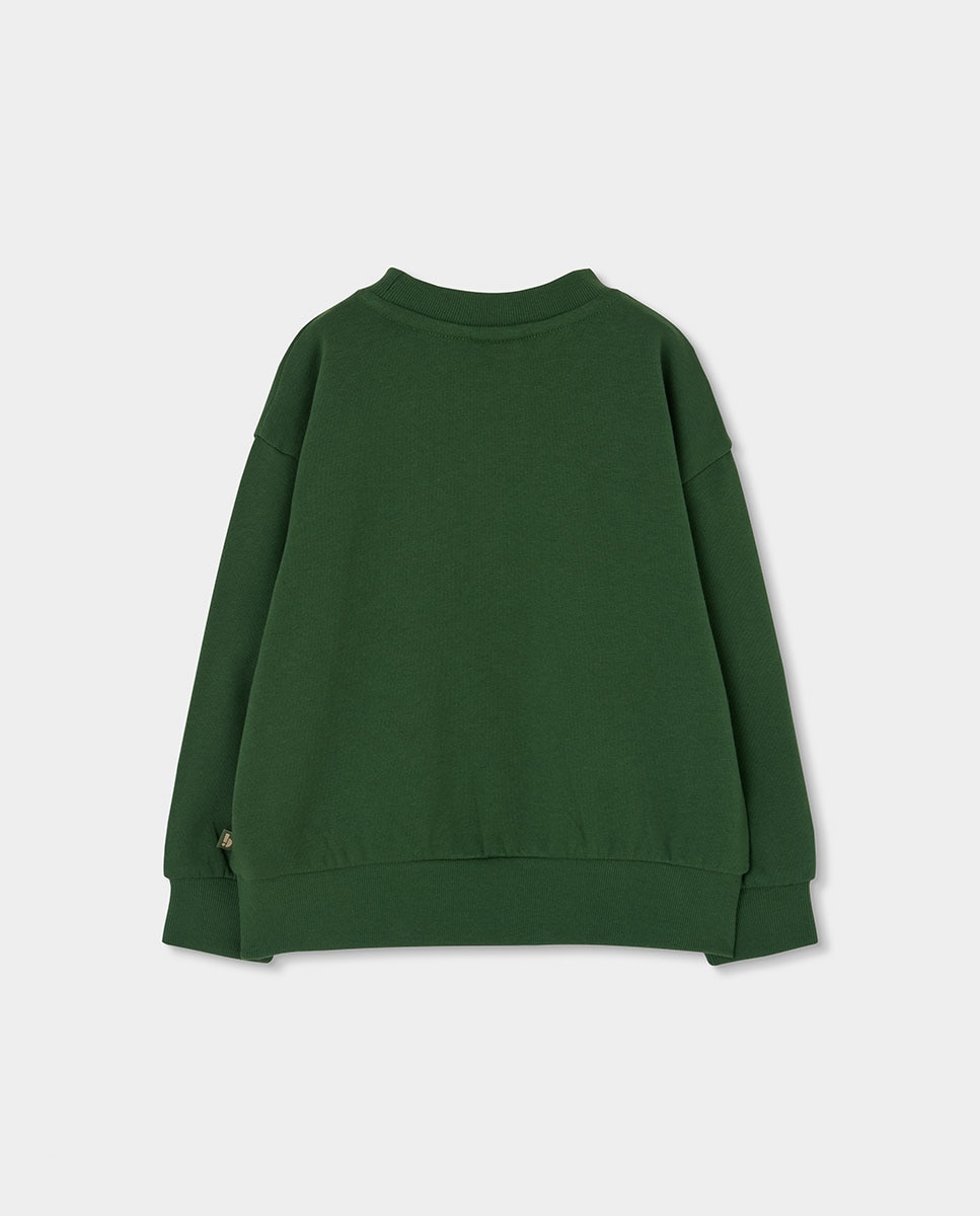 Conjunto de Sweatshirt Infantil de Manga Comprida com Gola Redonda Verde-5