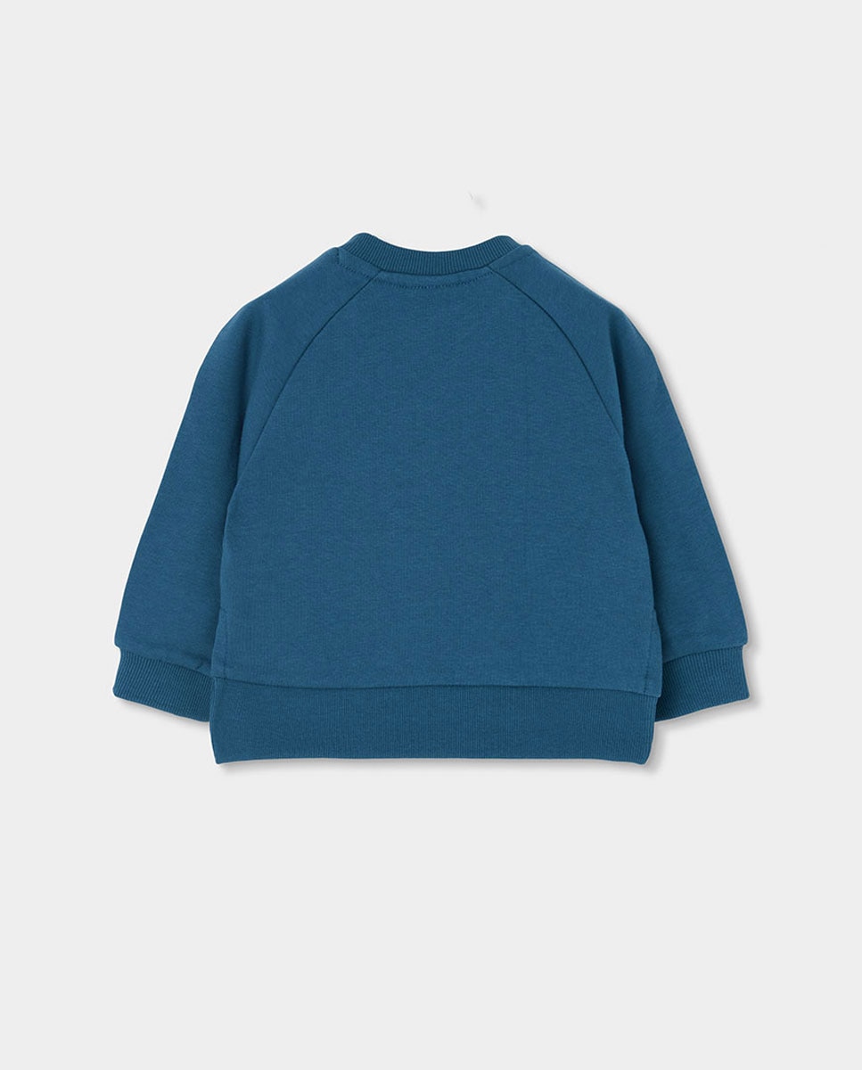 Sweatshirt de Felpa Infantil de Algodão e Manga Comprida Multicolor-2