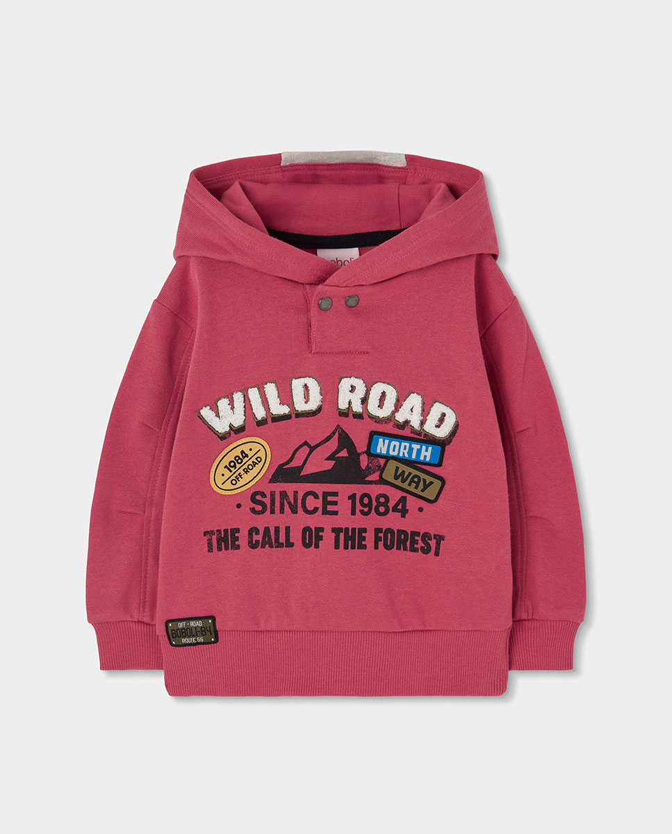 Sweatshirt de Felpa Infantil de Algodão com Capuz Multicolor-1