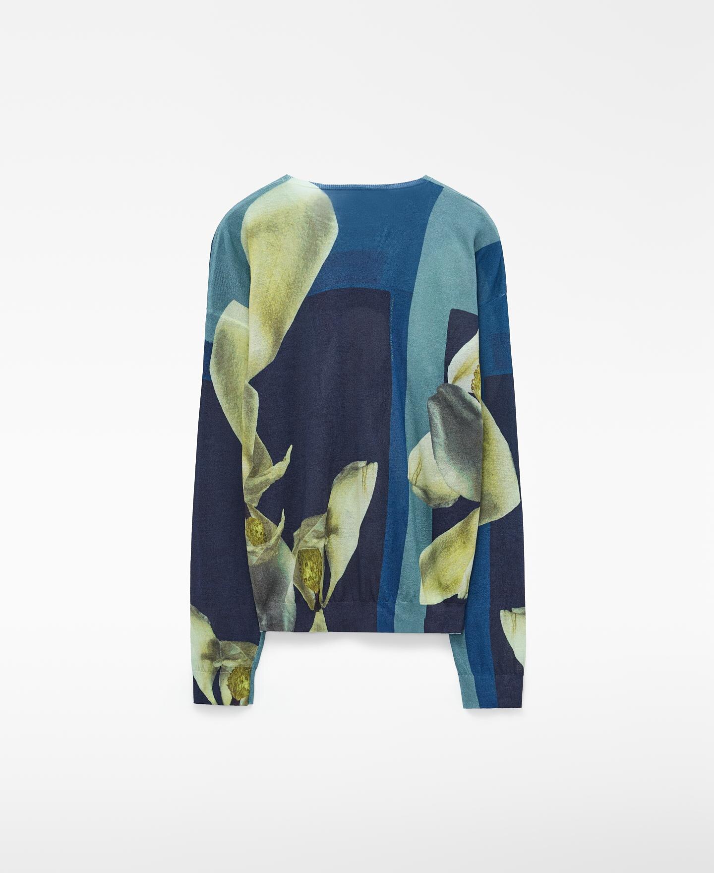 Camisola de Malha Fina Estampada com Gola Redonda Azul / Verde-6