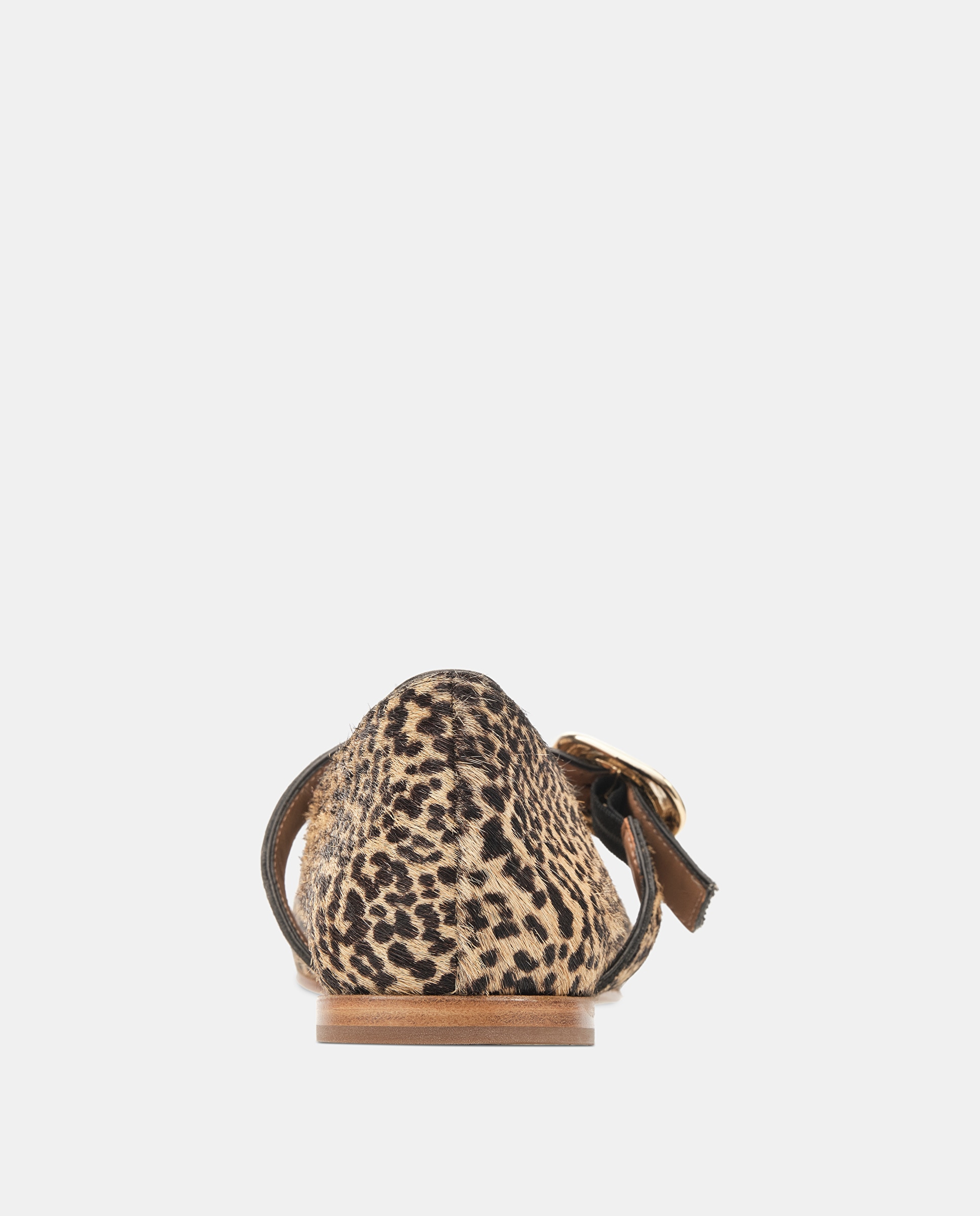 Sabrinas Bel de Pele Bege / Castanho-3