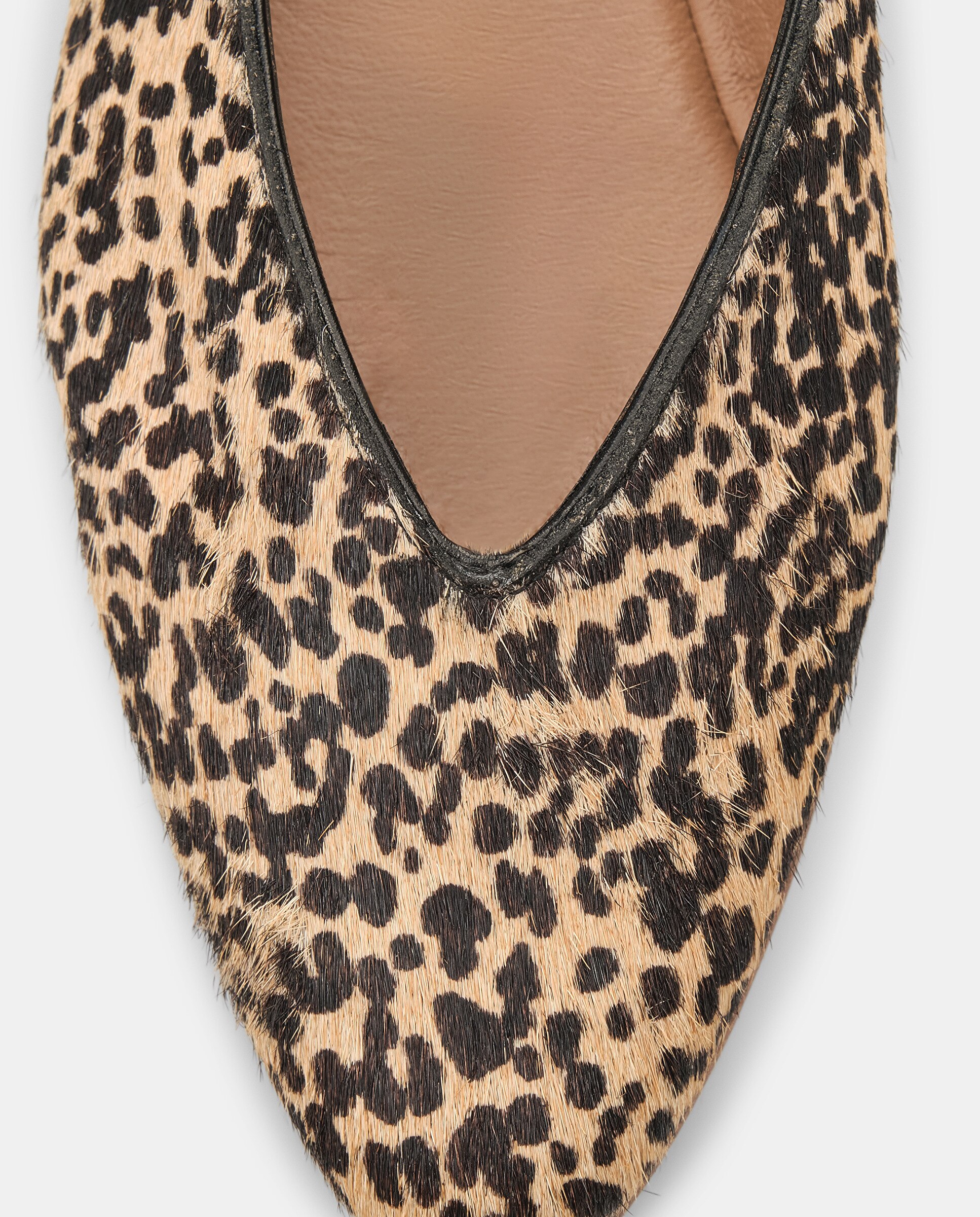 Sabrinas Bel de Pele Bege / Castanho-4