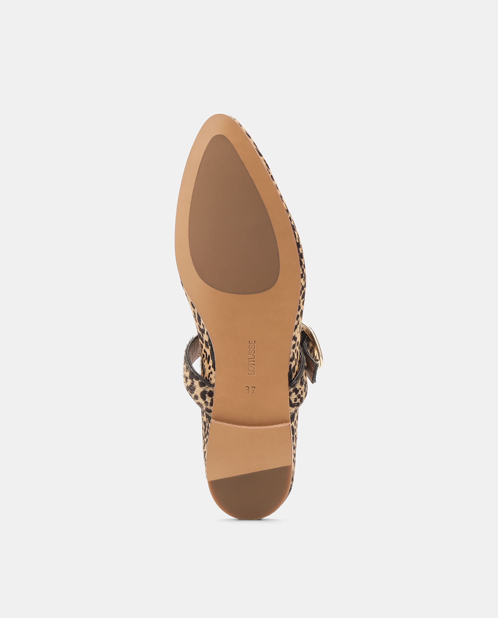 Sabrinas Bel de Pele Bege / Castanho-5