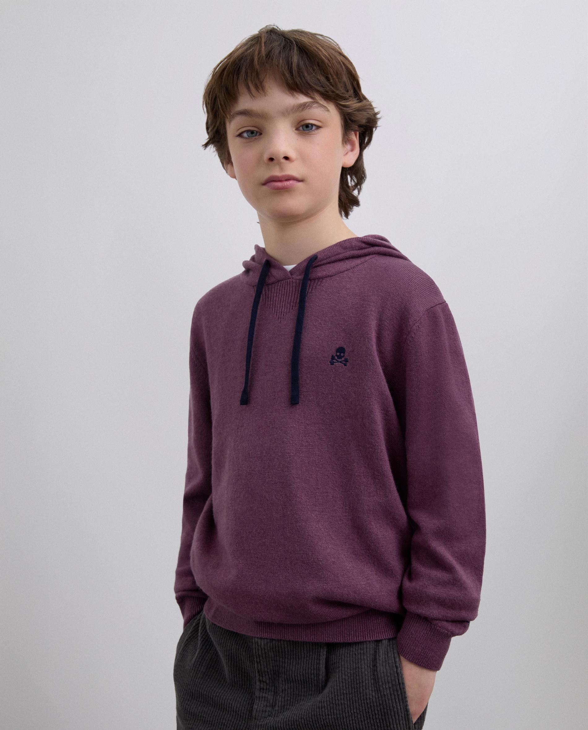 Sweatshirt Infantil com Capuz e Logo Bordado em Contraste Scalpers Roxo-1