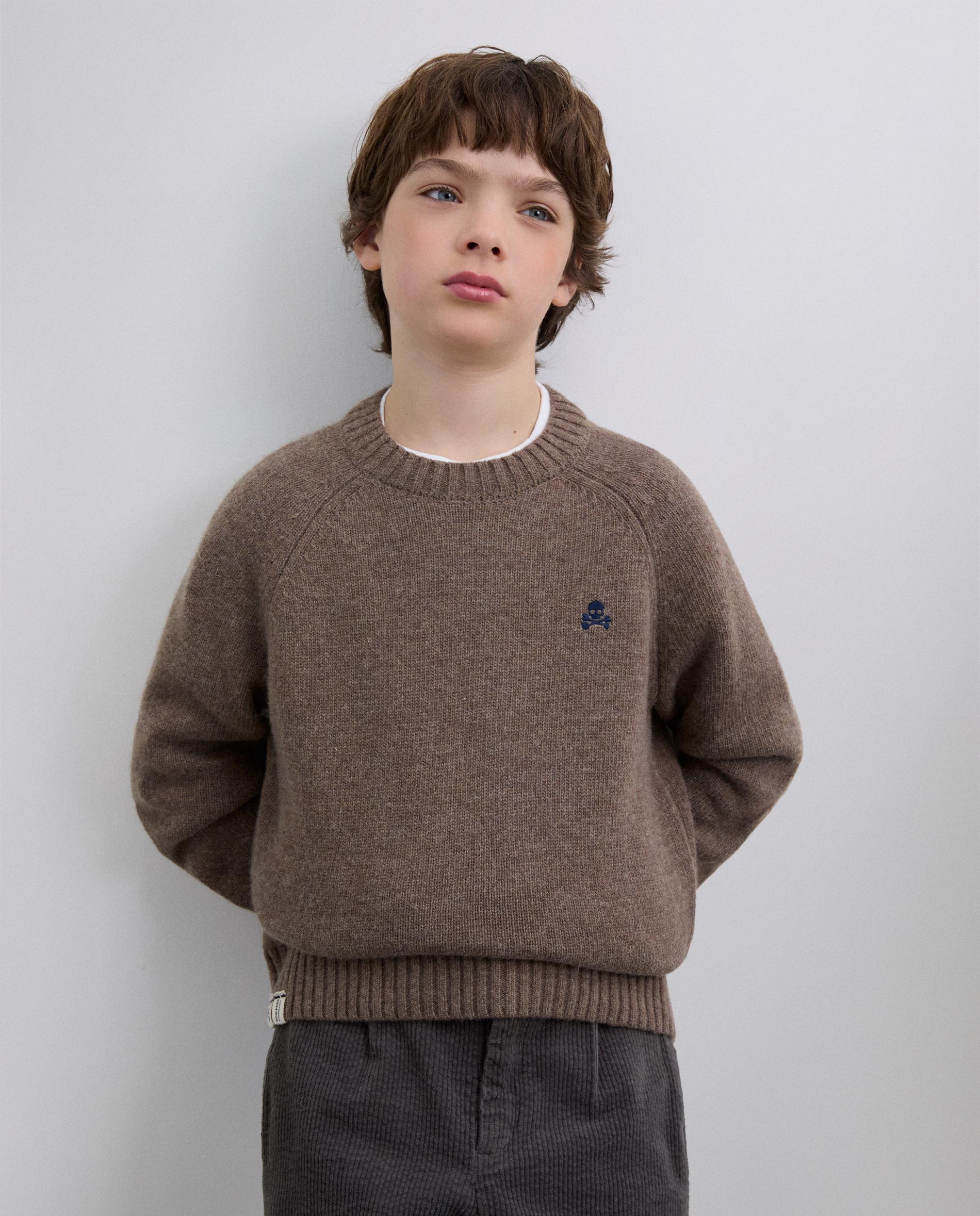 Camisola Infantil com Logo Bordado em Contraste e Gola Redonda Scalpers Castanho-1