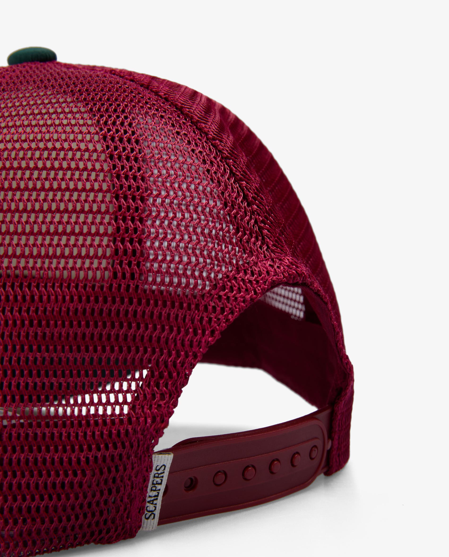 Boné Trucker Tricolor com Ajuste Posterior Verde-escuro-4