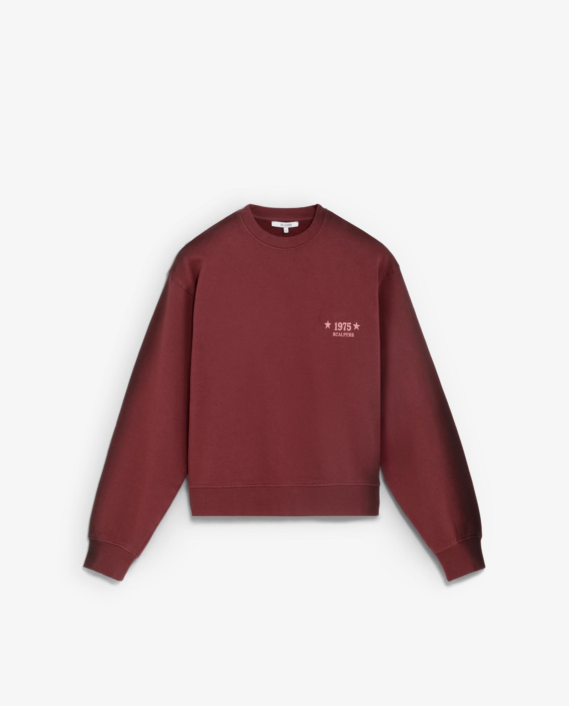 Sweatshirt com Gola Redonda e Print Posterior Bordeaux-4