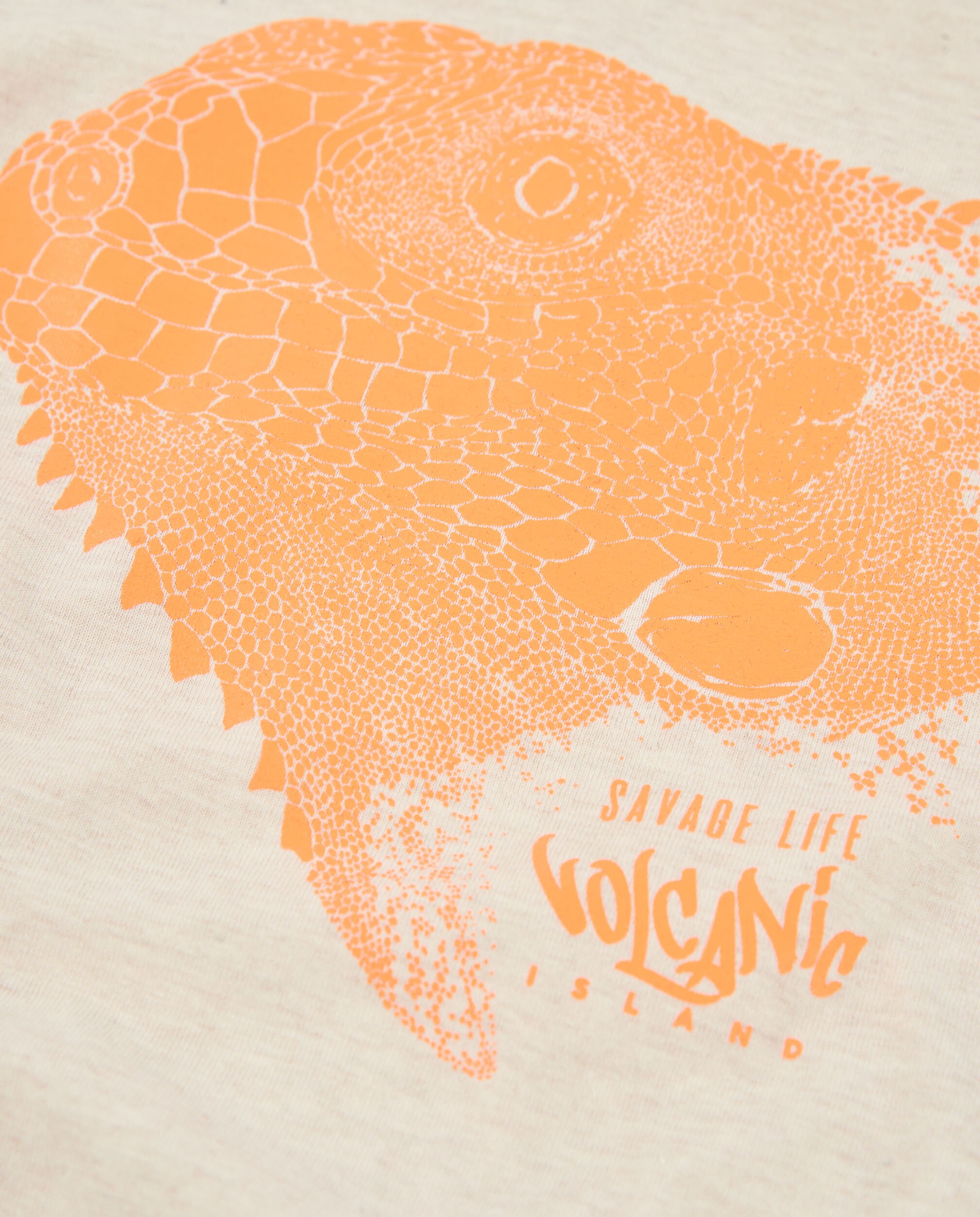 T-shirt Infantil de Malha com Estampado de Réptil Cru-4