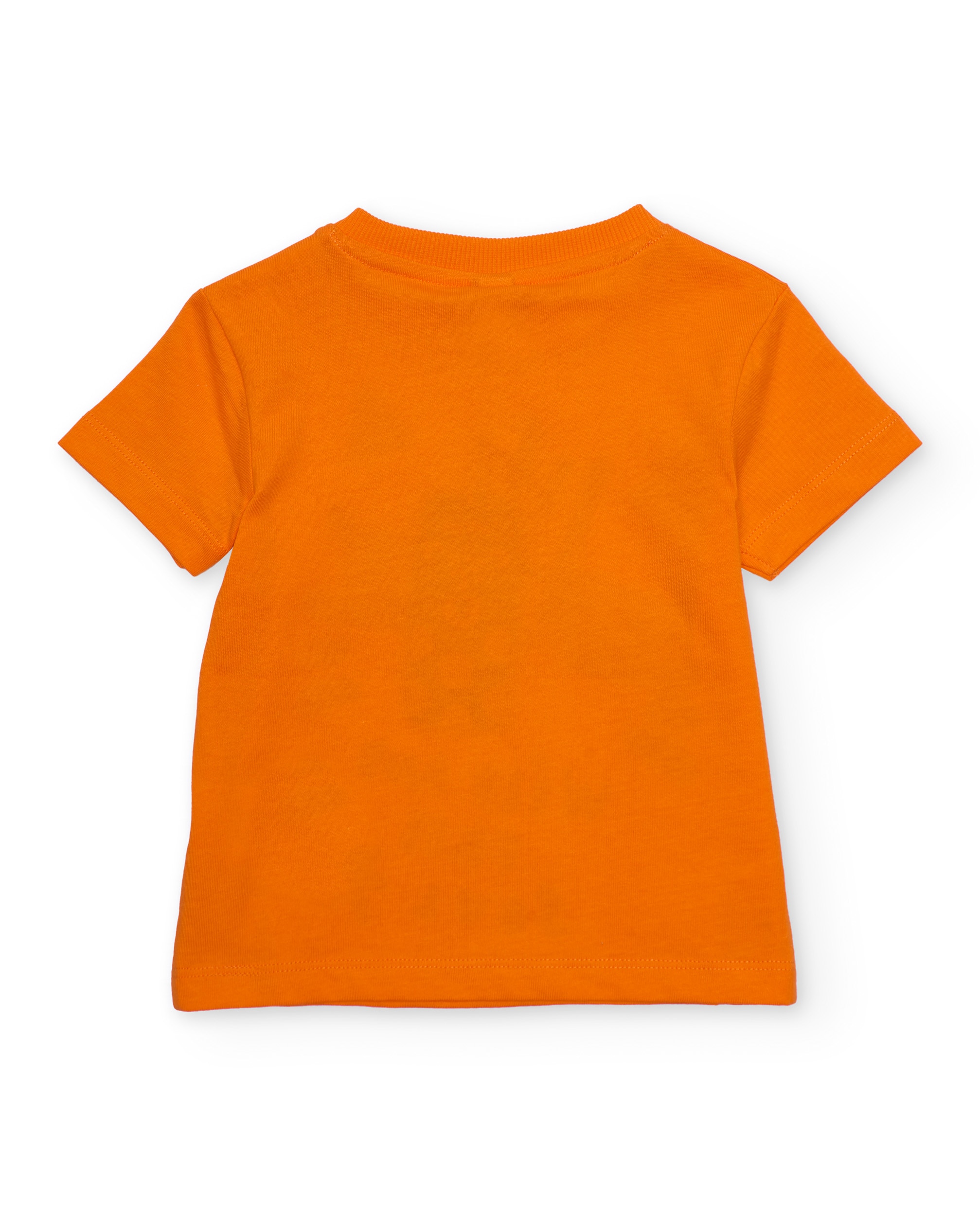 T-shirt Infantil de Malha e Estampado Frontal de Tigre Laranja-2