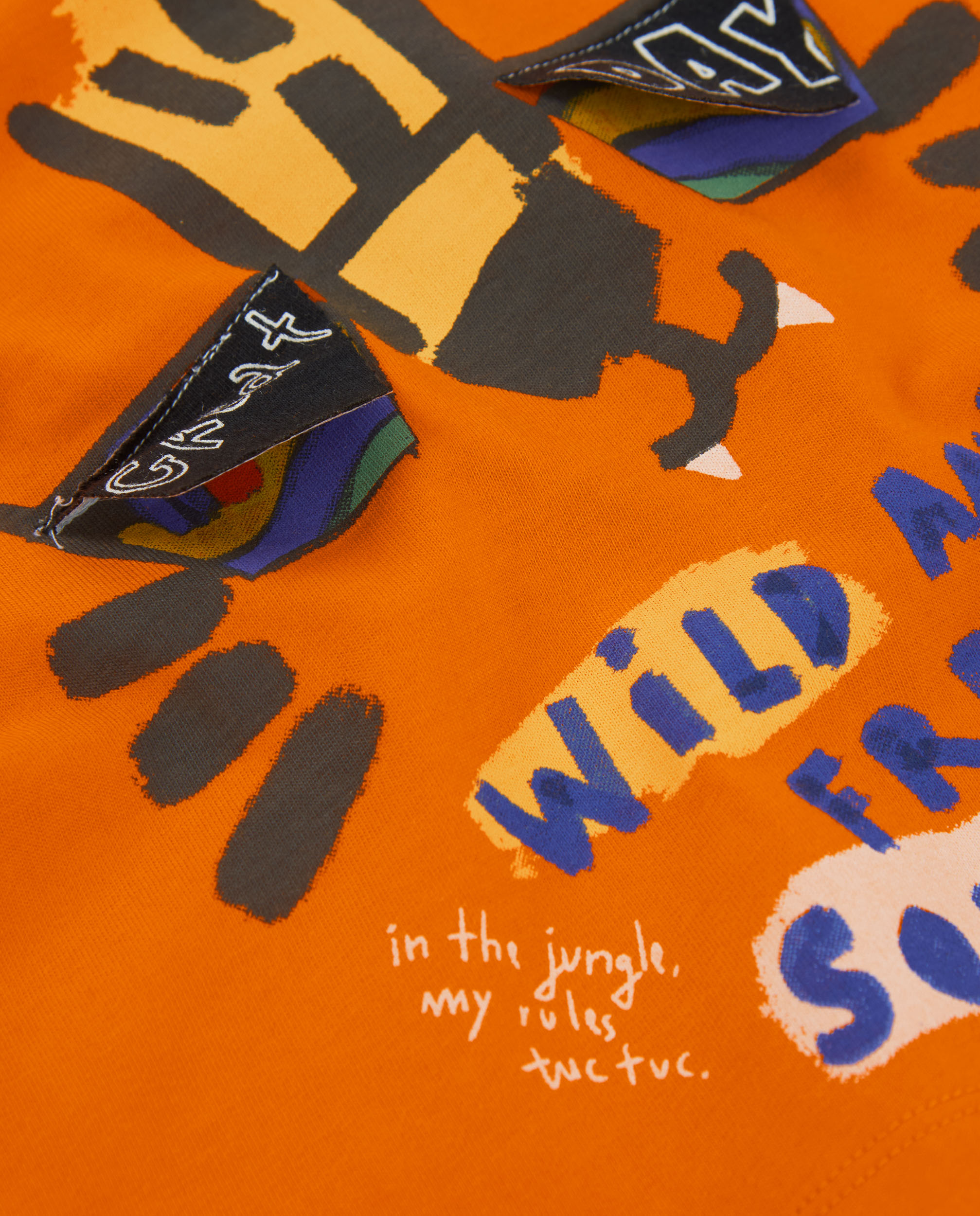 T-shirt Infantil de Malha e Estampado Frontal de Tigre Laranja-4