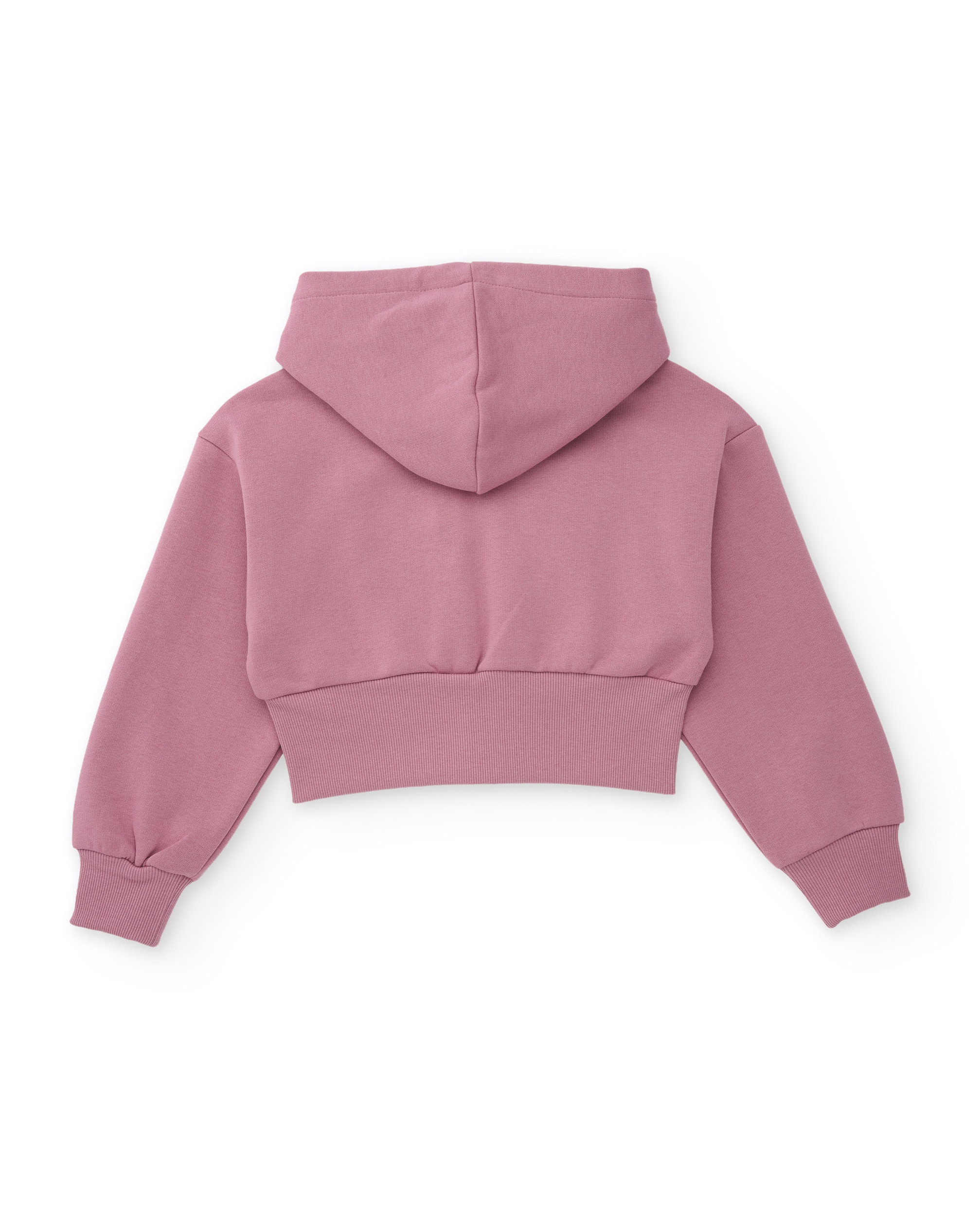 Sweatshirt Infantil de Felpa com Capuz e Fecho Frontal Rosa-2