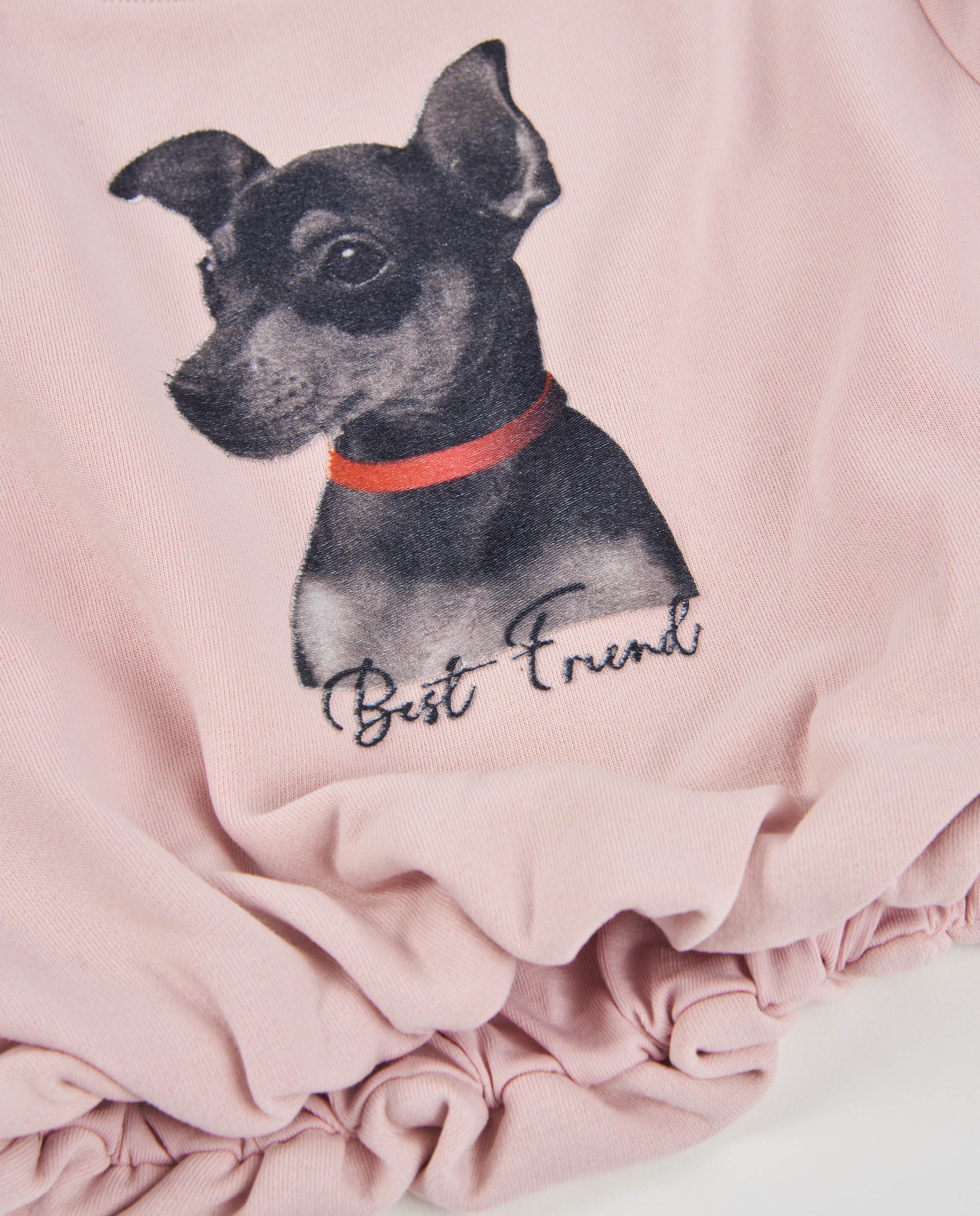 Sweatshirt Infantil de Felpa com Estampado Cachorro e Cintura Franzida Rosa-claro-4
