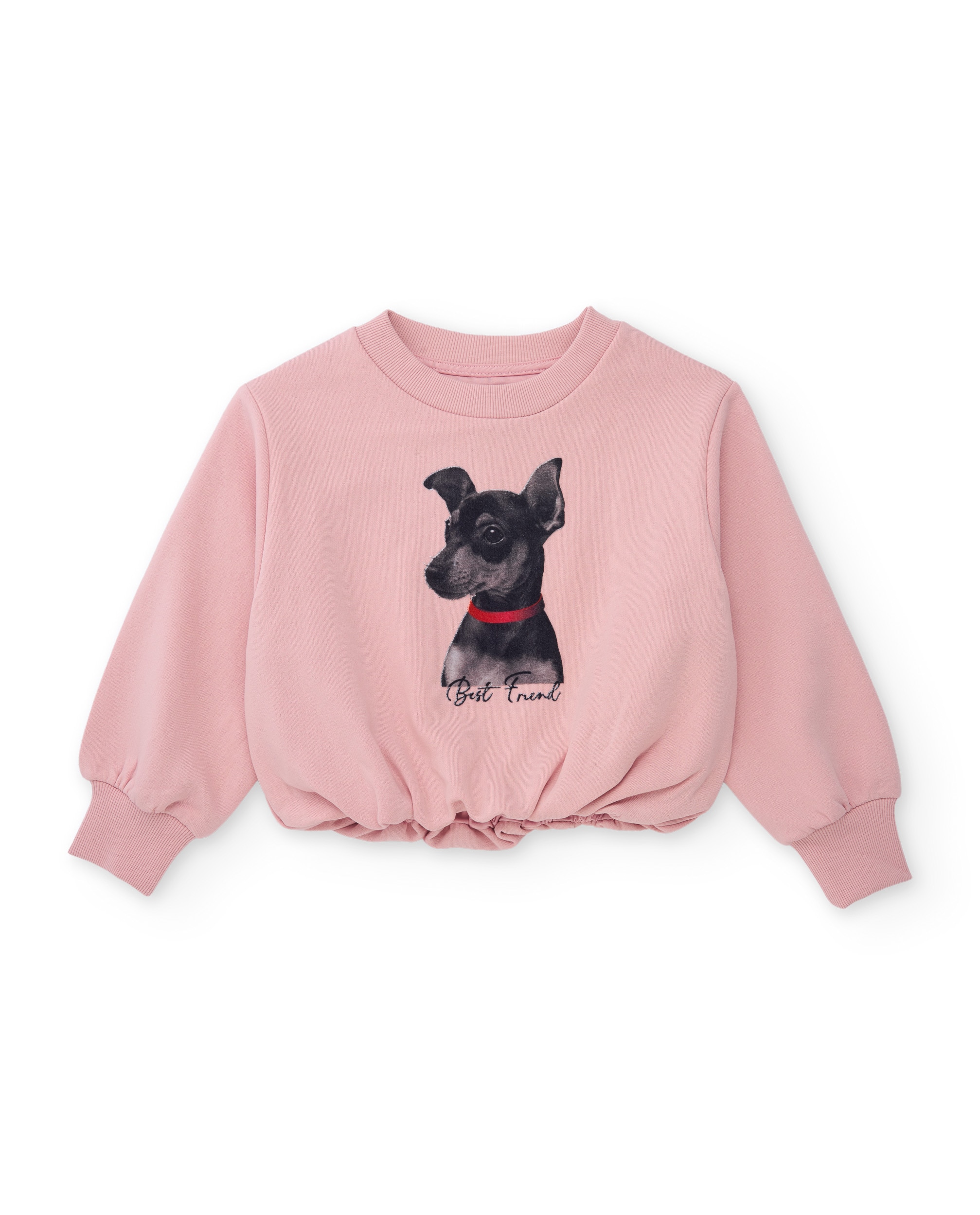 Conjunto Infantil com Sweatshirt de Design Cachorro e Leggings de Malha À Boca de Sino Rosa-2