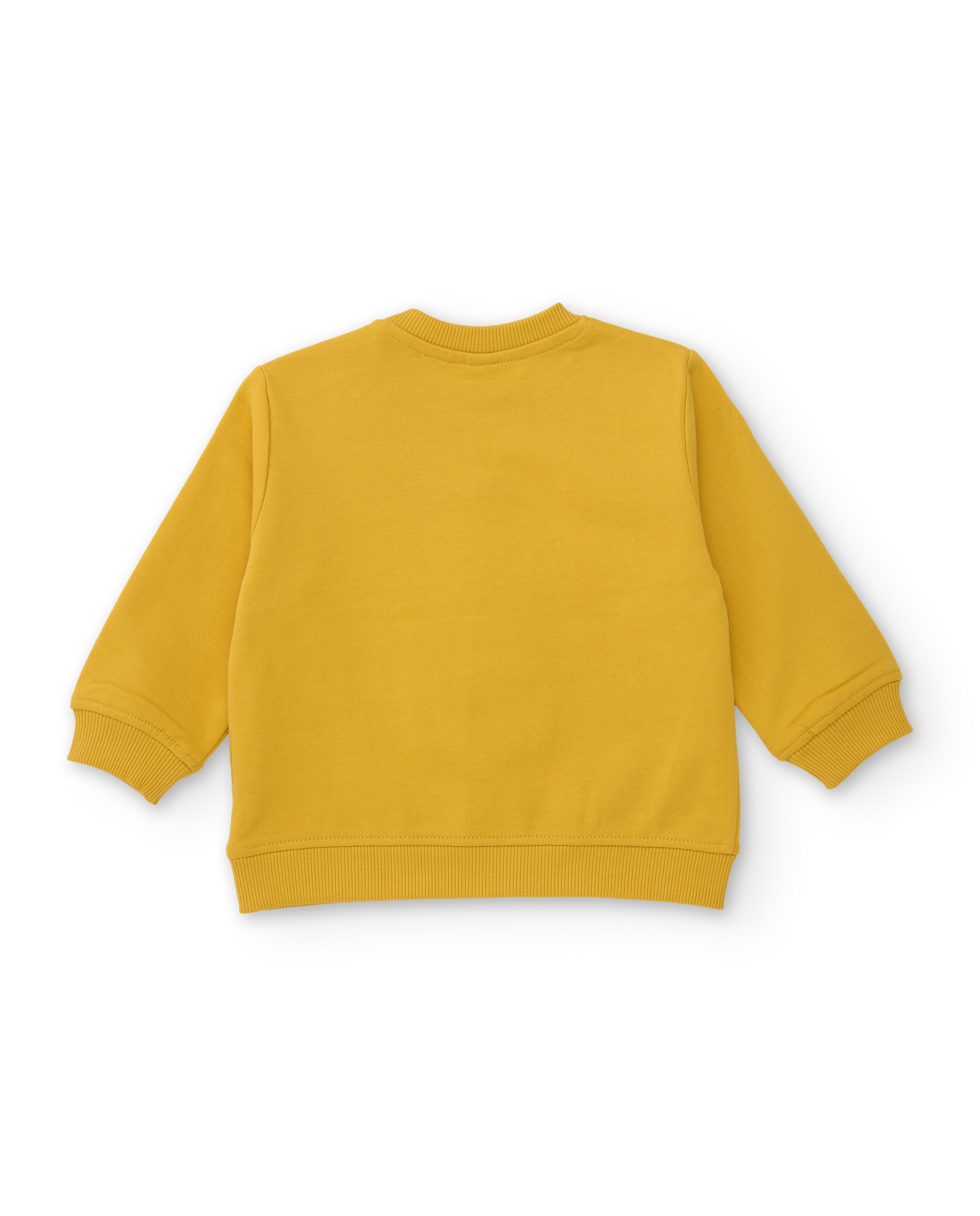 Conjunto Infantil de Felpa com Sweatshirt de Design de Tigre e Calças em Conjunto Amarelo-5
