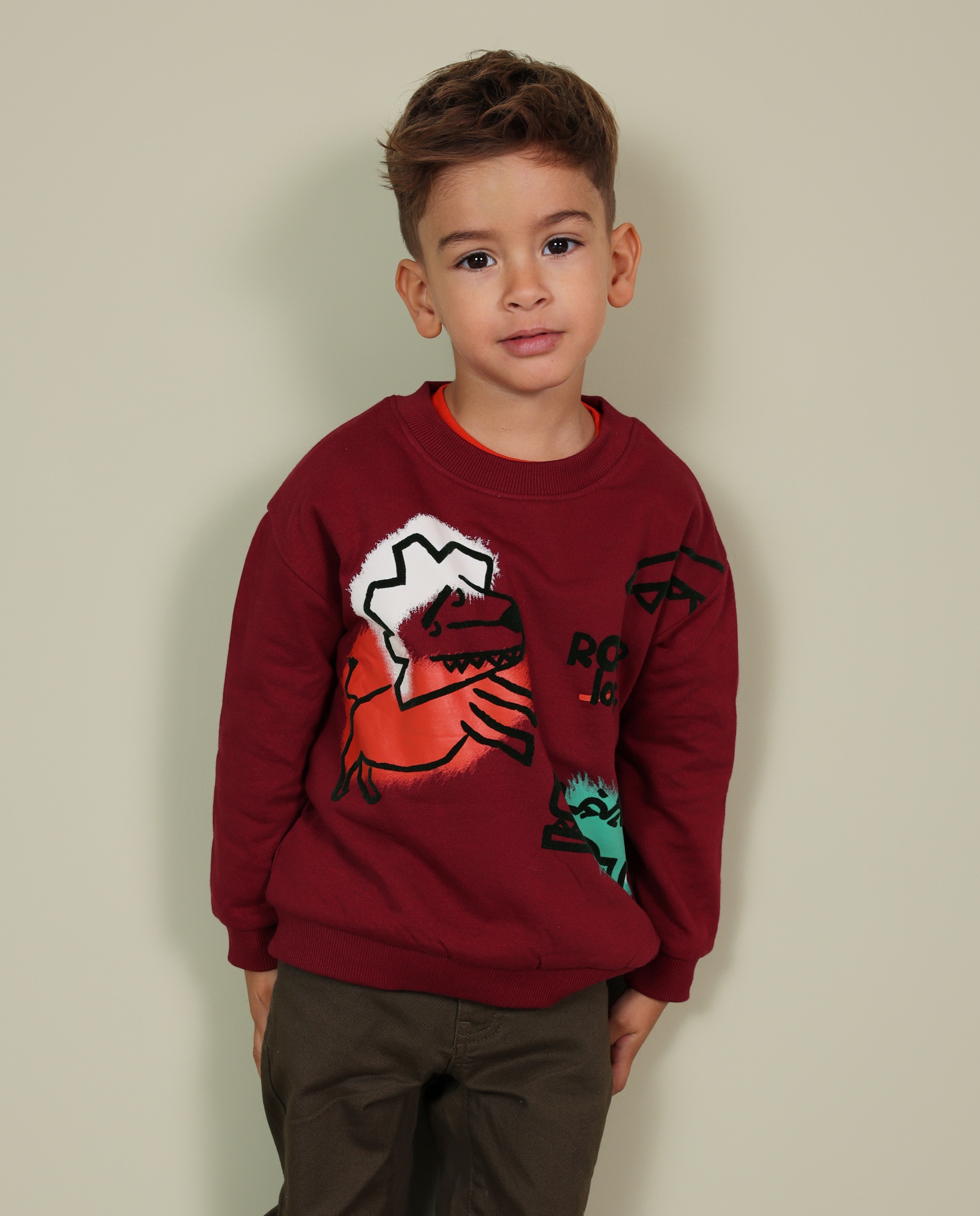 Imagem 0 de Sweatshirt Infantil de Felpa com Estampado de Animais e Tecido Quente