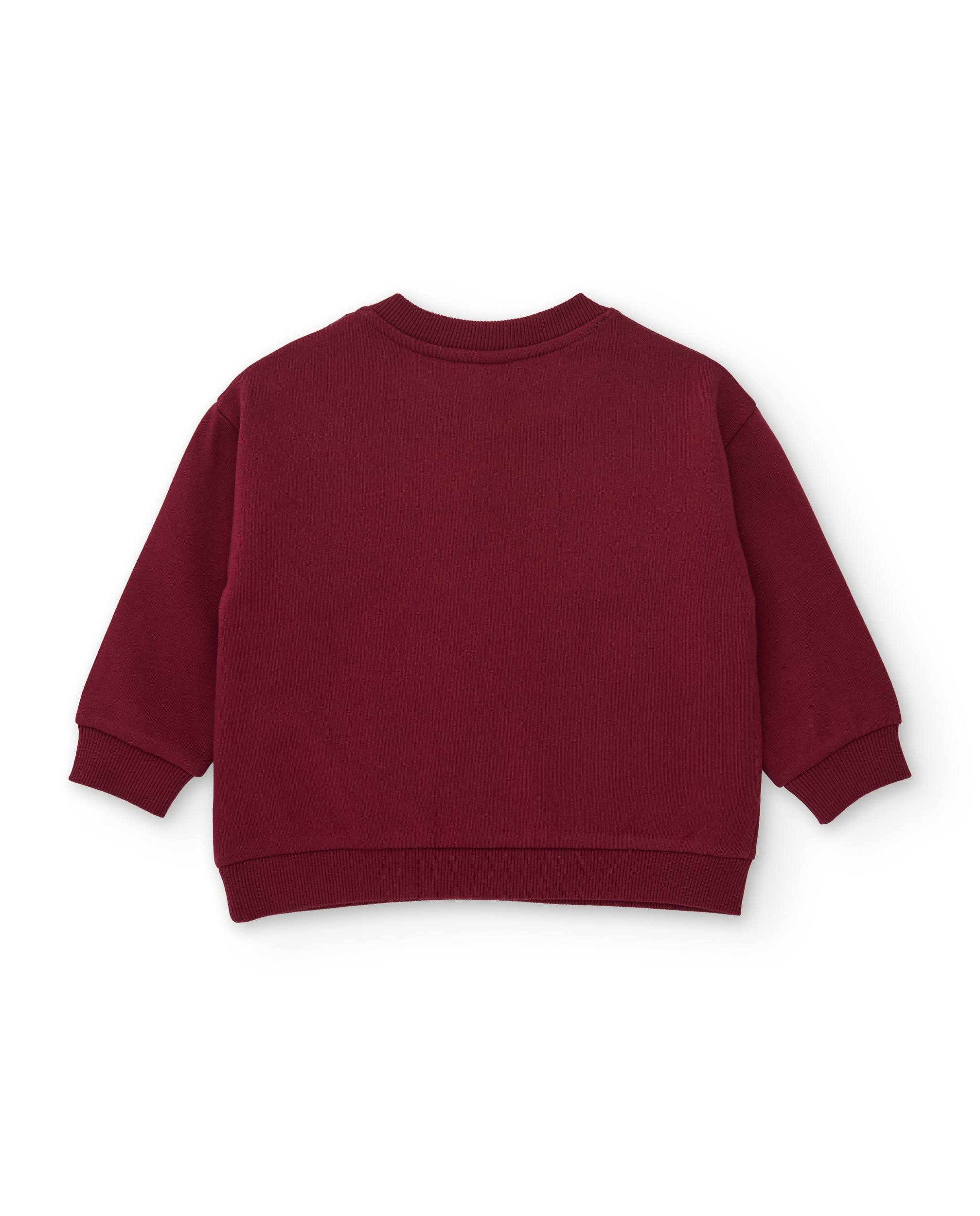 Conjunto Infantil de Felpa com Sweatshirt de Animais Sabana e Calças Bordeaux-4