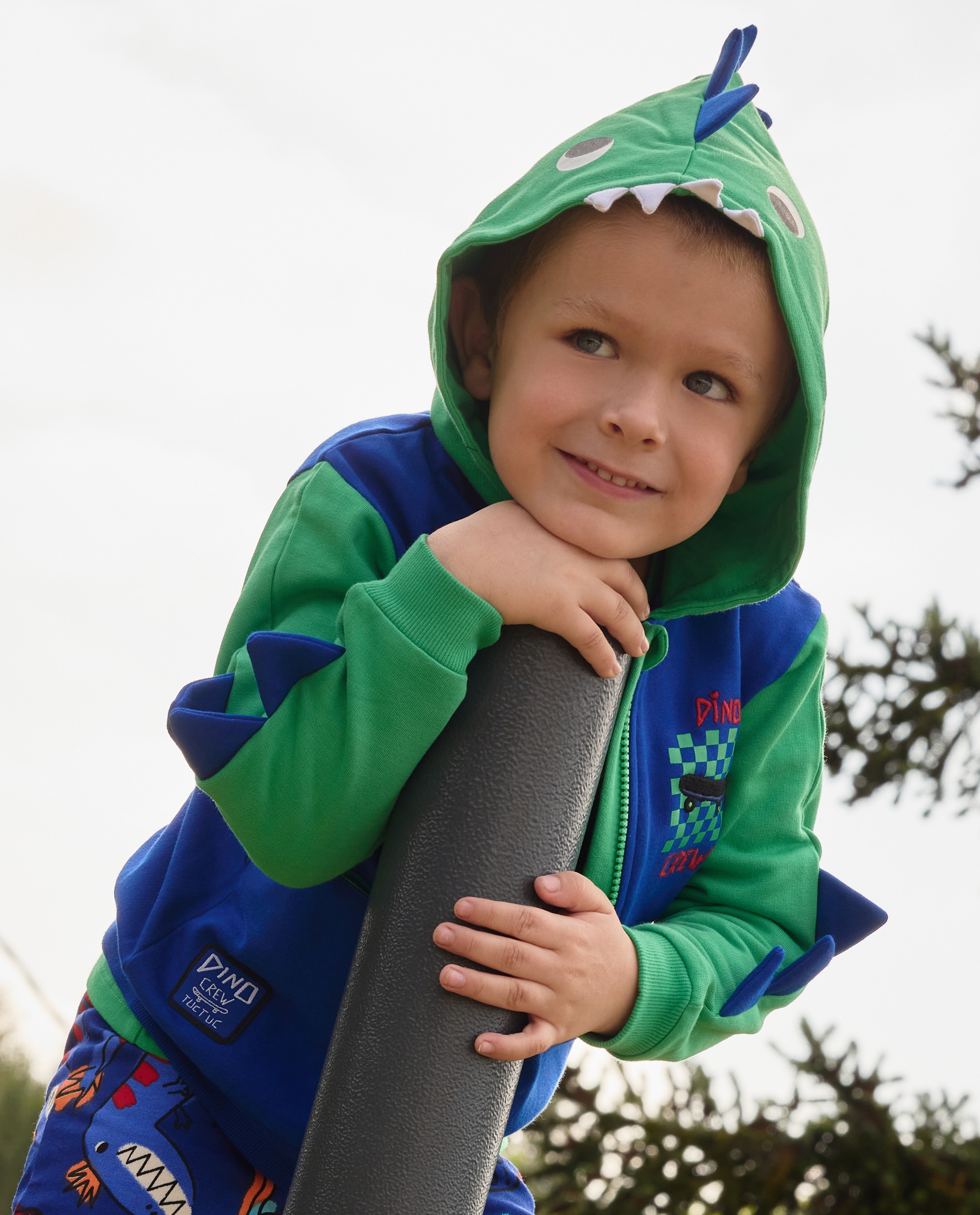 Imagem 0 de Sweatshirt Infantil de Felpa com Capuz e Design de Dinossauro